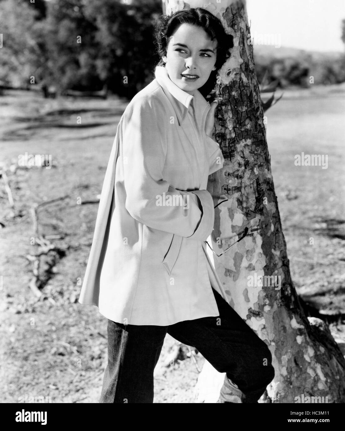 Pistola raccolto, Joan Dixon, 1951 Foto Stock