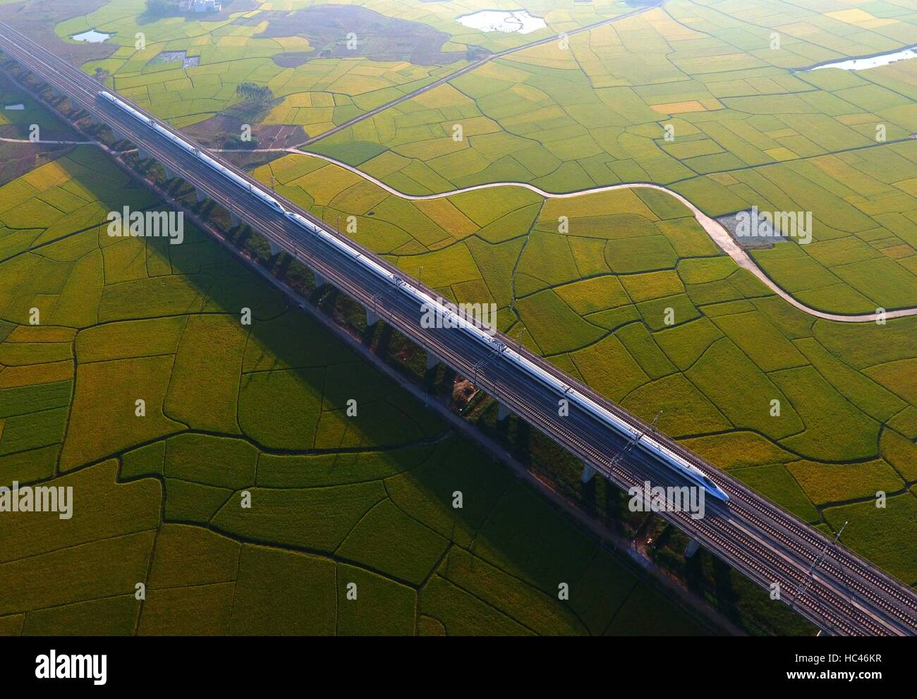 Pechino, Cina Guangxi Zhuang Regione autonoma. Xvi oct, 2016. Un treno ad alta velocità attraversa terreni agricoli in Binyang contea di Nanning, capitale del sud della Cina di Guangxi Zhuang Regione autonoma, 16 ottobre 2016. Della Cina di treni ad alta velocità ha superato 20.000 chilometri di lunghezza da settembre di quest'anno. La Cina ha realizzato considerevoli progressi nel promuovere lo sviluppo scientifico e tecnologico nel 2016. © Huang Xiaobang/Xinhua/Alamy Live News Foto Stock