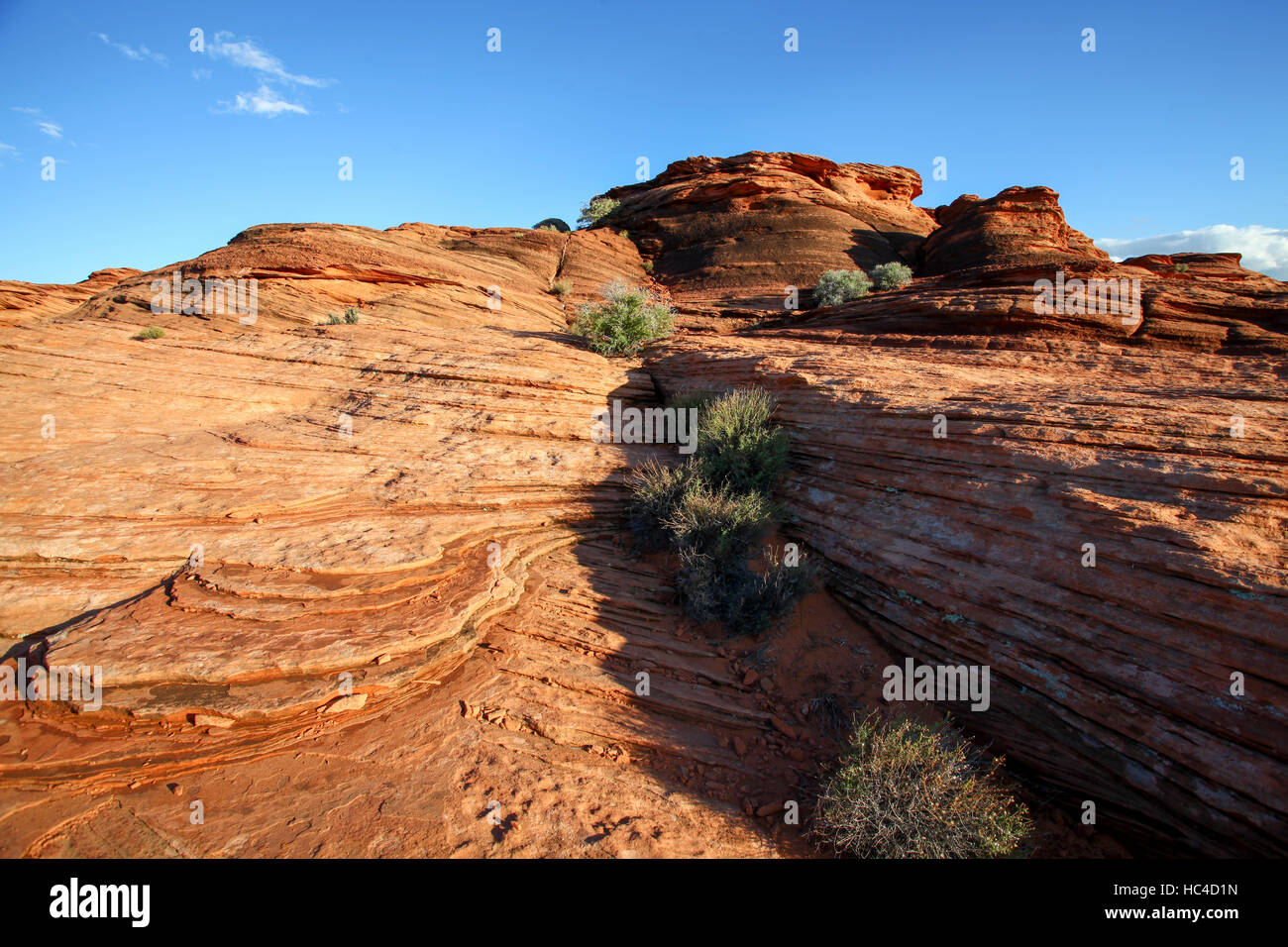 Il paesaggio intorno a piegare a ferro di cavallo del fiume Colorado in Arizona USA Foto Stock