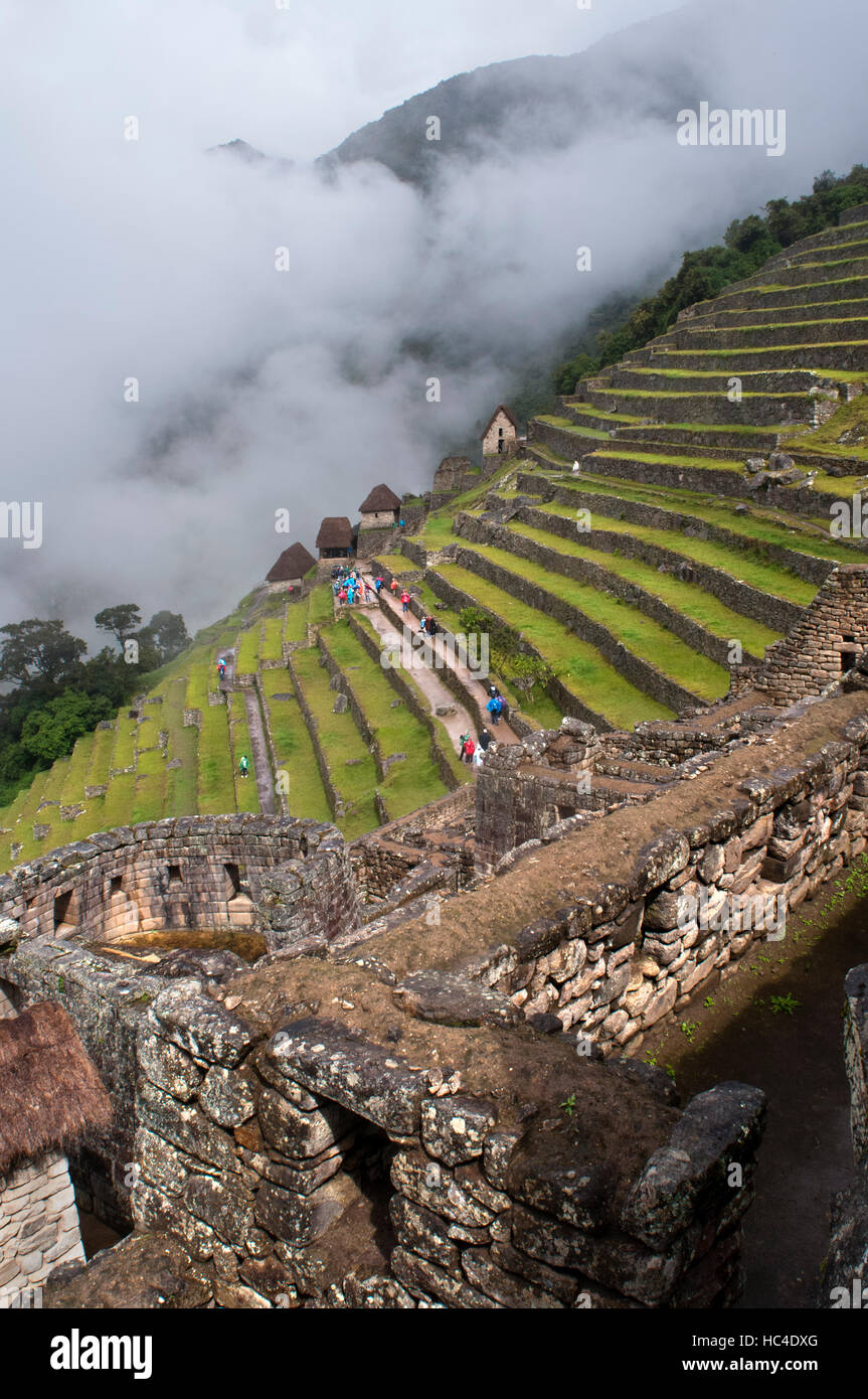 Terrazze all'interno del complesso archeologico di Machu Picchu. Machu Picchu è una città situata in alto nella catena delle Ande in Perù moderno. Si trova a 43 miglia Foto Stock