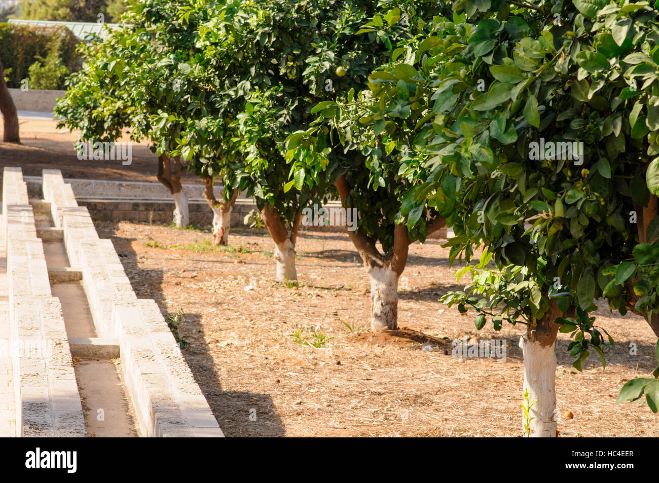 La ricostruzione di un antico alluvione tecnica di irrigazione. Acqua dal bene o foro per l'acqua è stata pompata in semplice acquedotti di fluire verso la zona che r Foto Stock