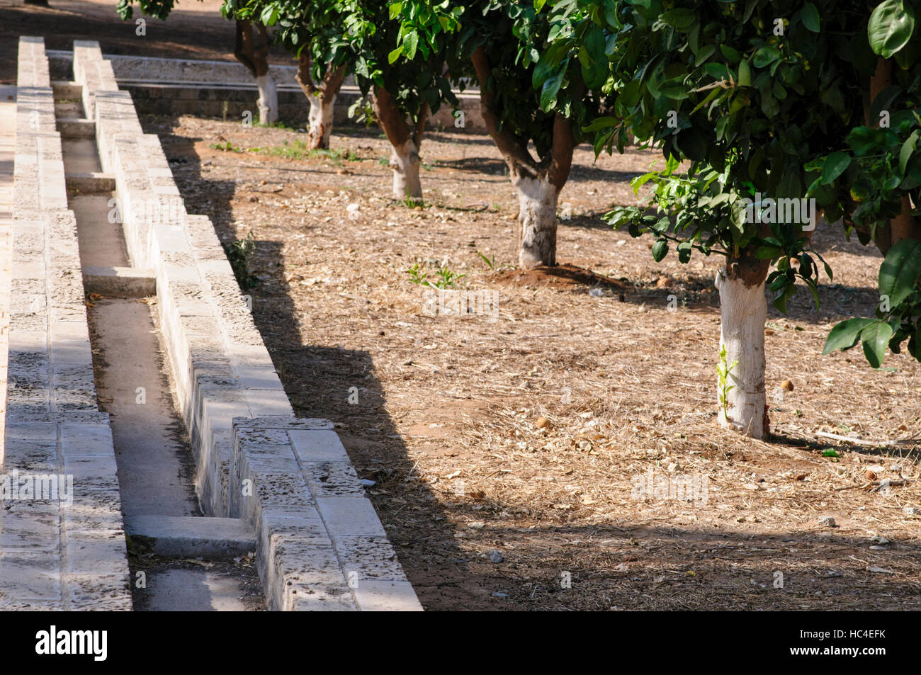 La ricostruzione di un antico alluvione tecnica di irrigazione. Acqua dal bene o foro per l'acqua è stata pompata in semplice acquedotti di fluire verso la zona che r Foto Stock