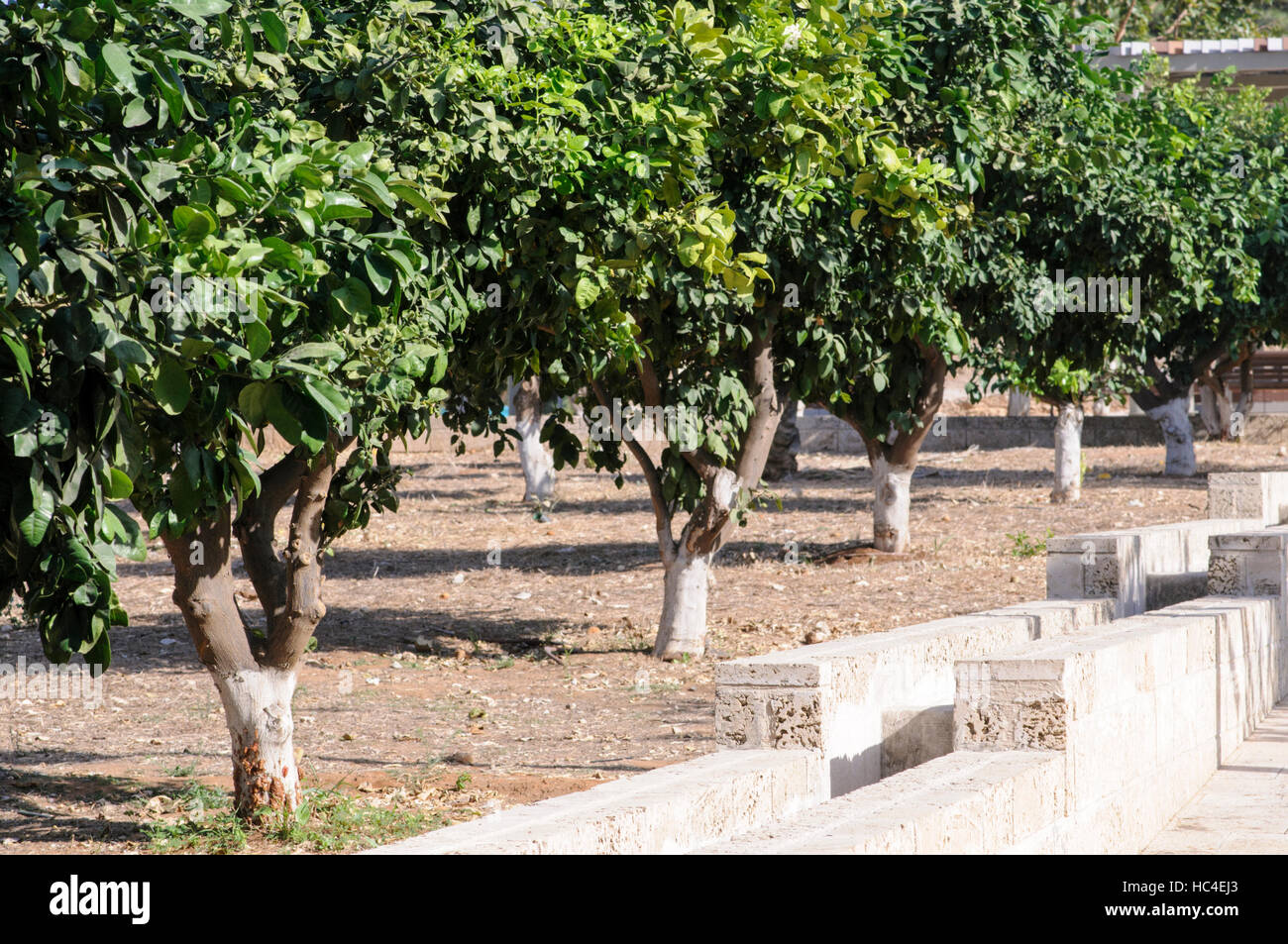 La ricostruzione di un antico alluvione tecnica di irrigazione. Acqua dal bene o foro per l'acqua è stata pompata in semplice acquedotti di fluire verso la zona che r Foto Stock