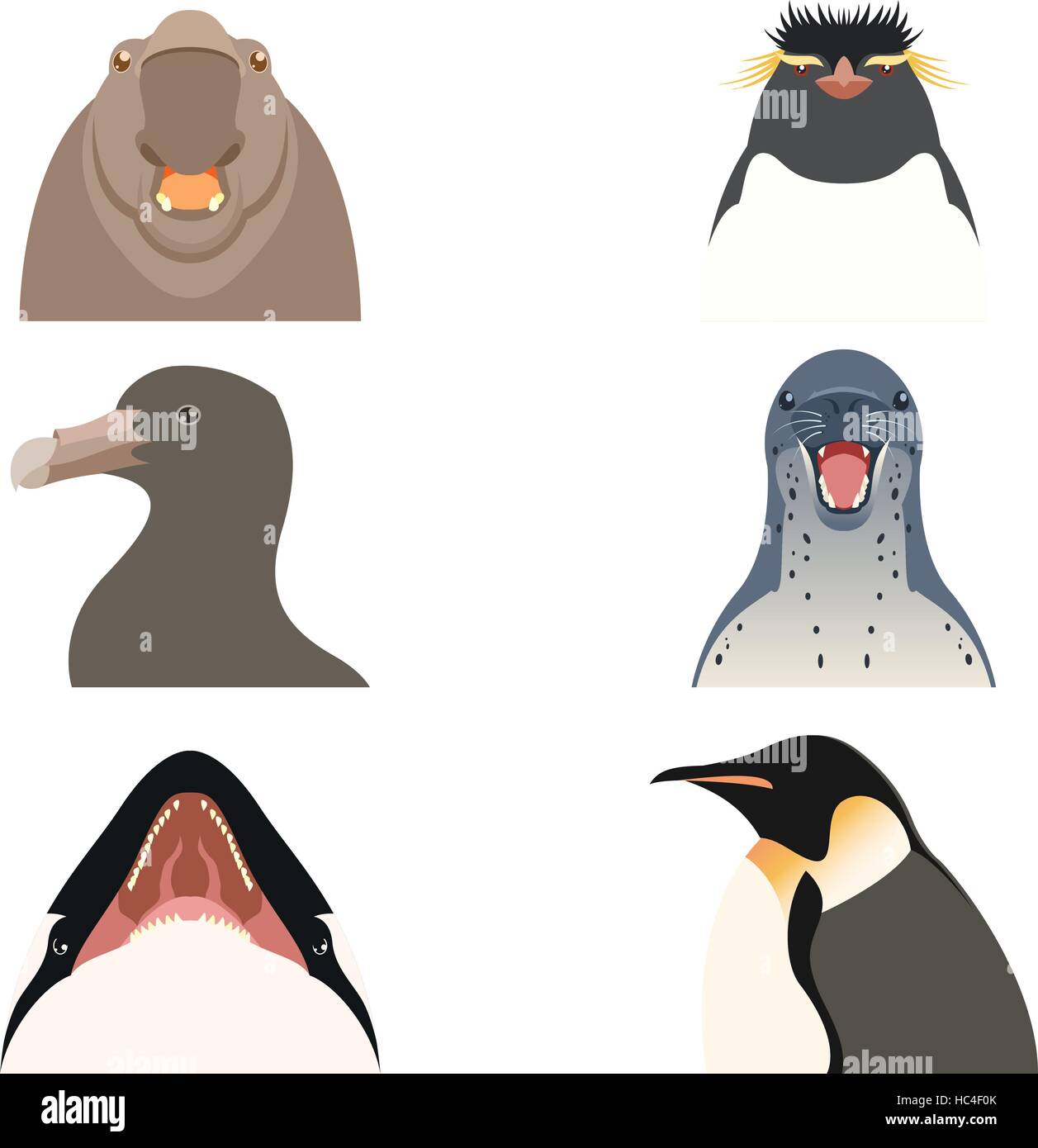 Set di flat antartico le icone degli animali Illustrazione Vettoriale