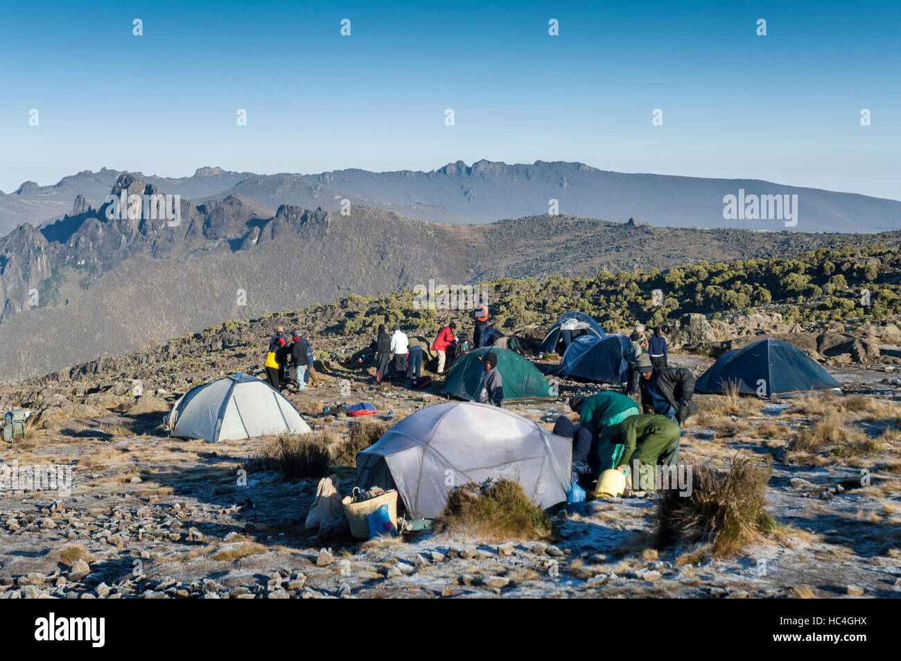I facchini di imballare Shira camp, Route Machame Kilimanjaro, Tanzania Foto Stock