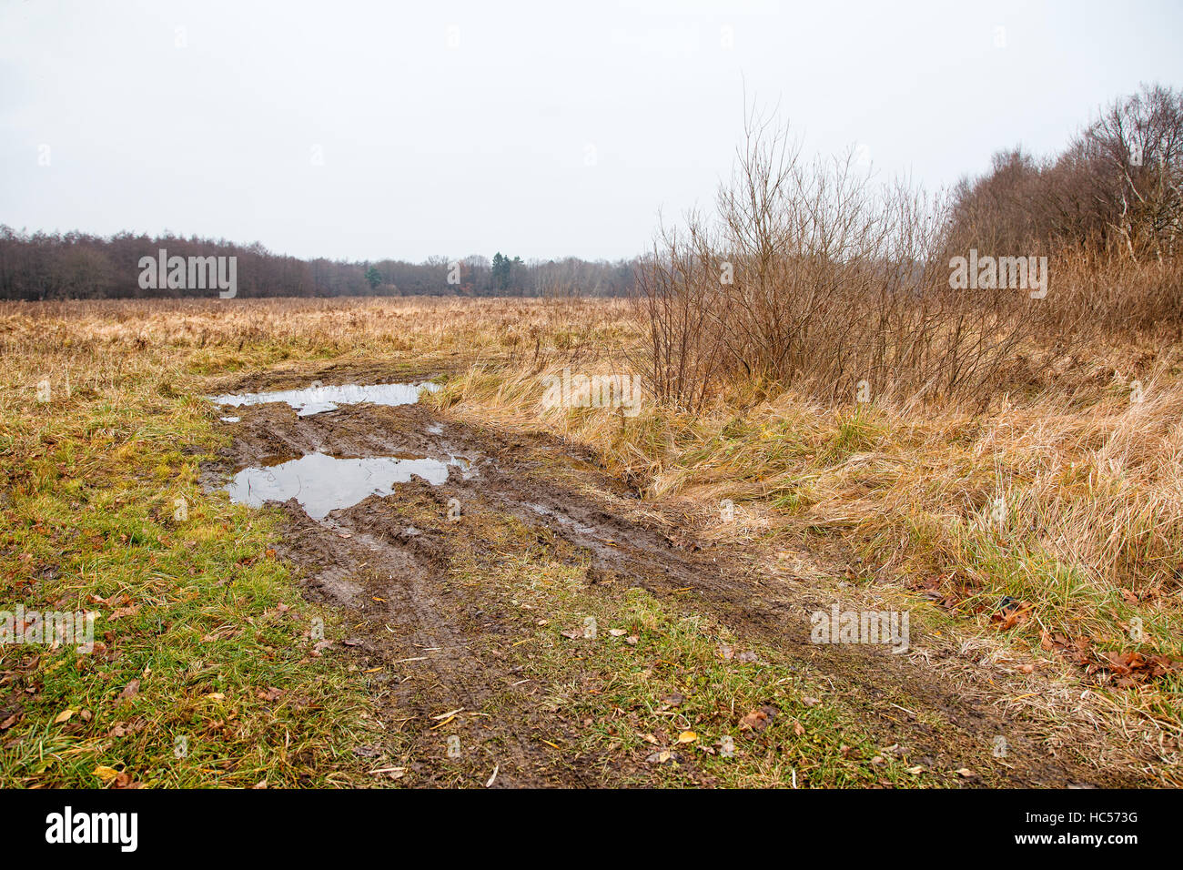 Rotture di strada sterrata nel campo di cupo autunno freddo giorno Foto Stock