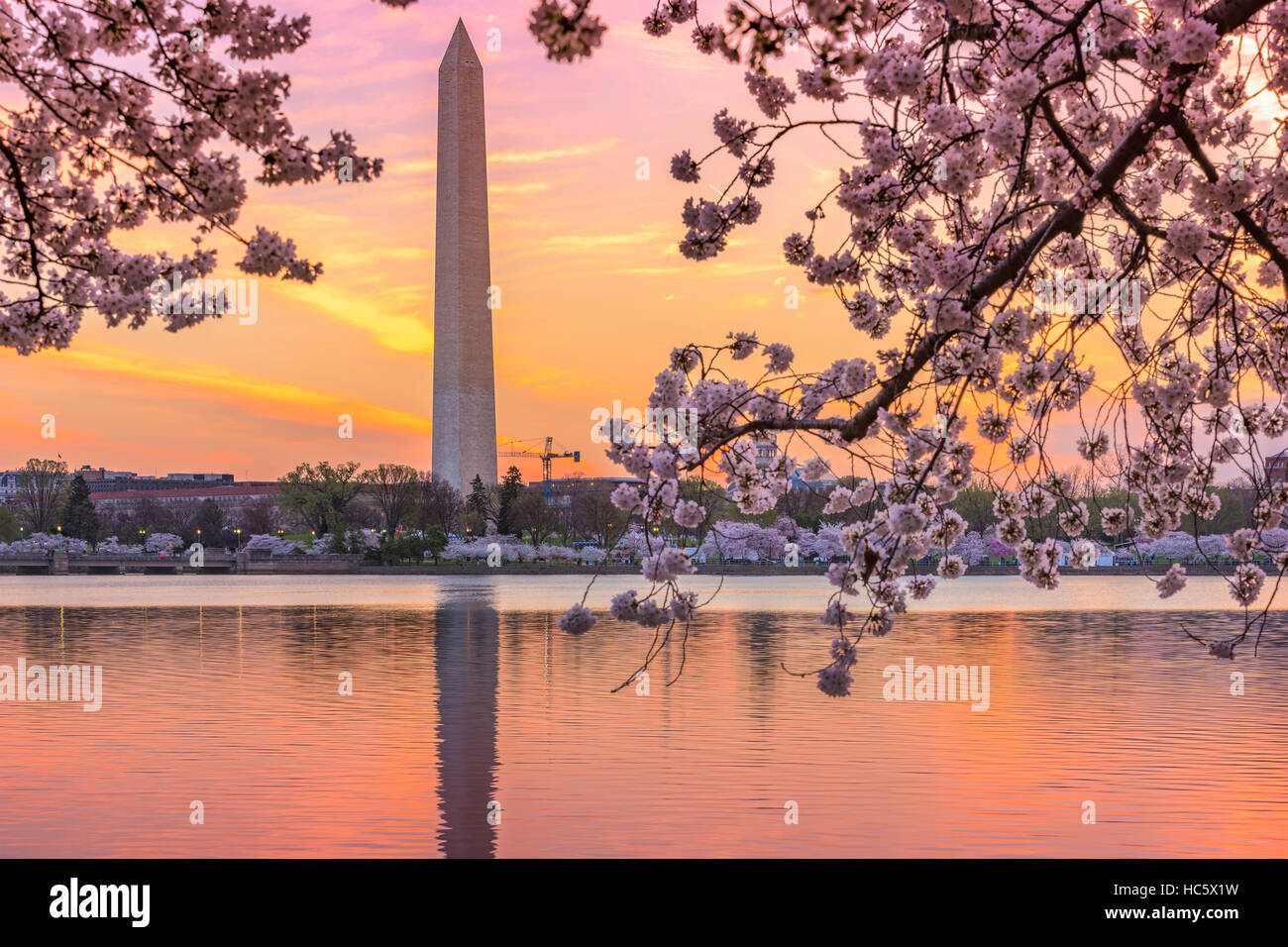 Washington DC, Stati Uniti d'America presso il bacino di marea con il Monumento a Washington nella stagione primaverile. Foto Stock