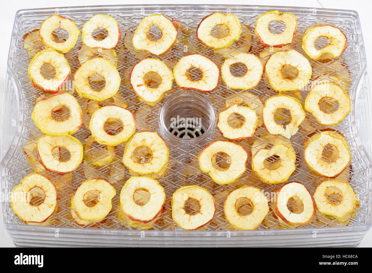 Essiccato anelli di Apple in un cibo essiccatore Foto Stock