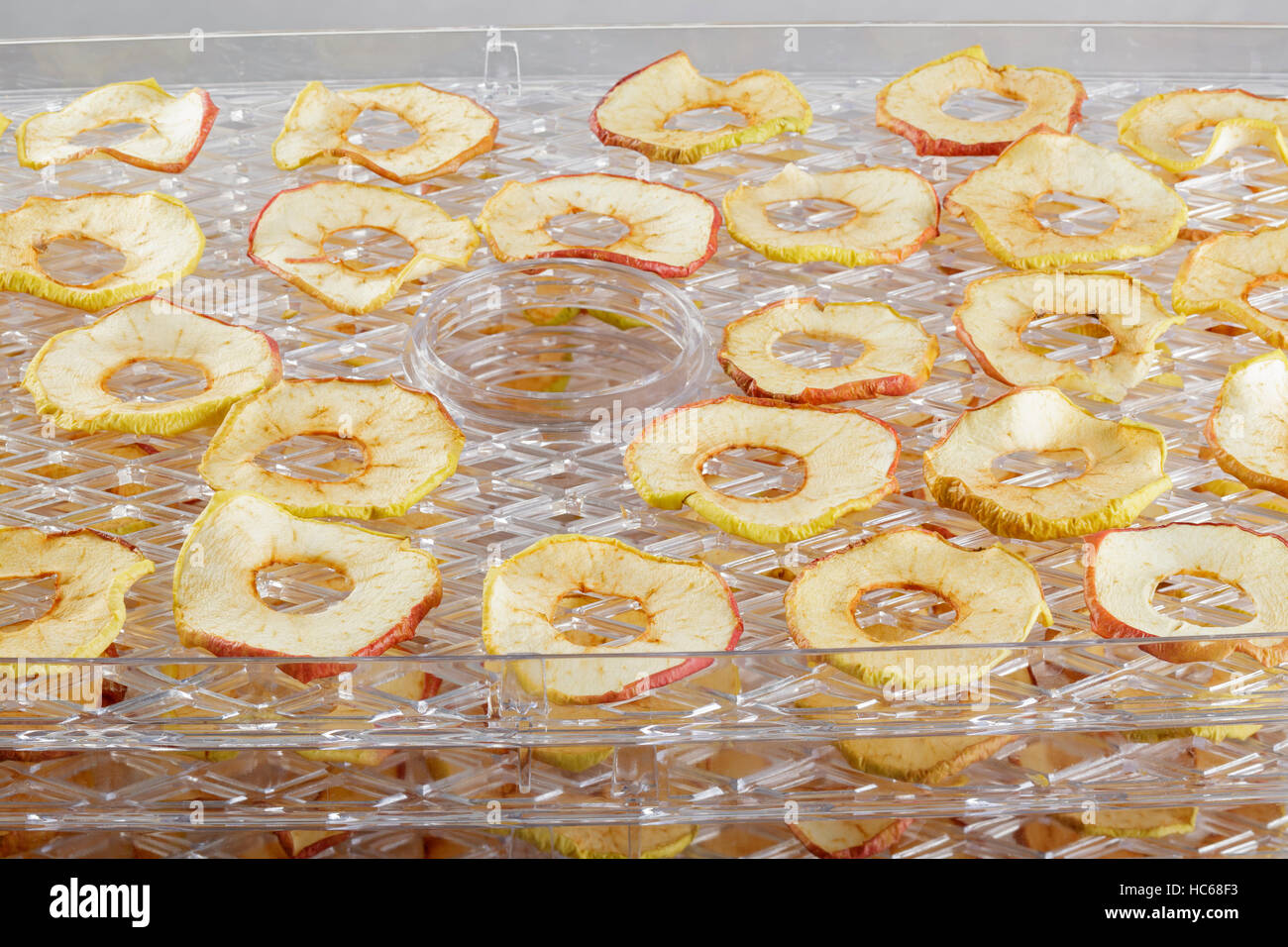 Essiccato anelli di Apple in un cibo essiccatore Foto Stock