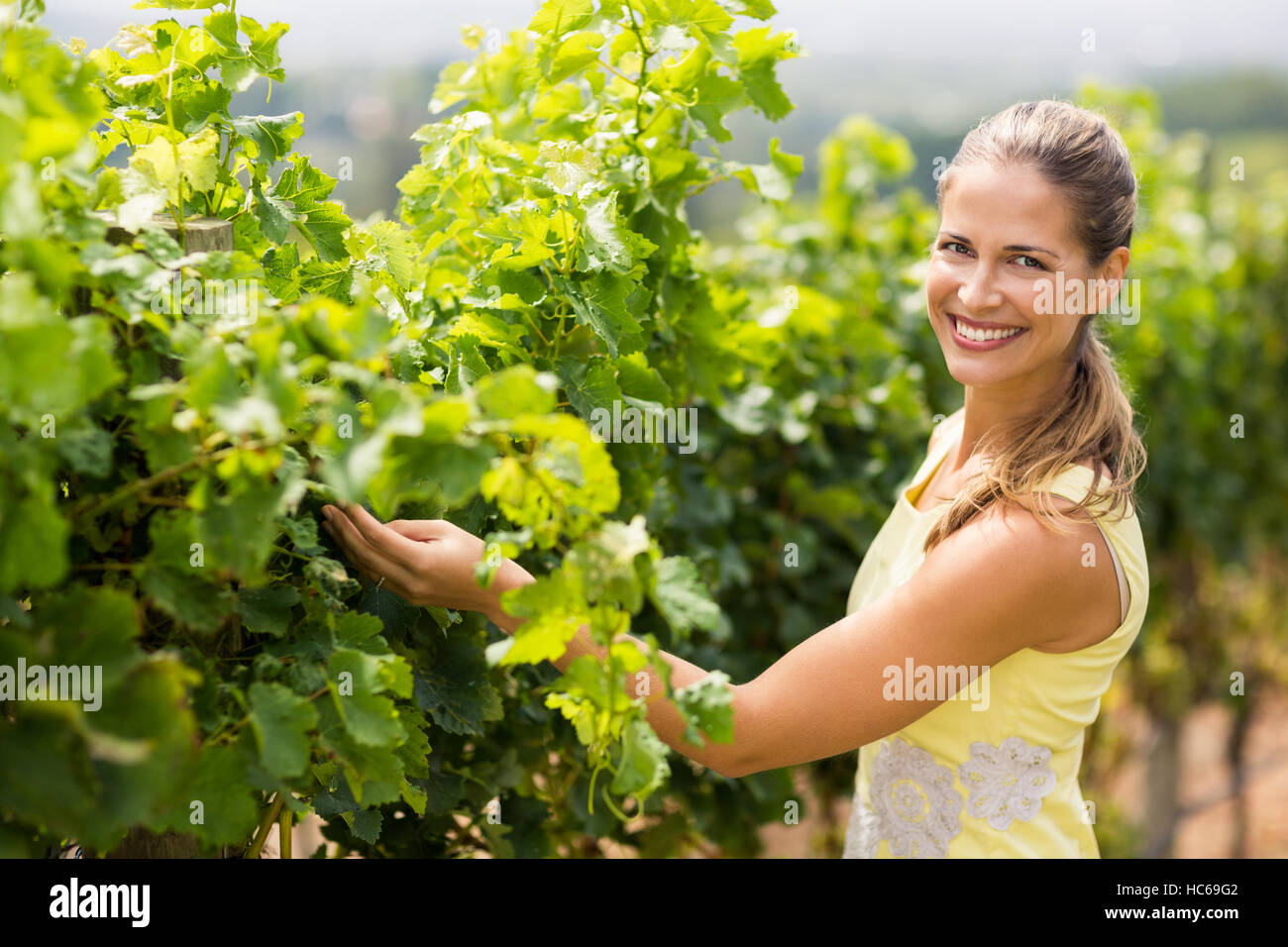 Ritratto di donna sorridente vignaiolo ispezione di raccolto di uve Foto Stock