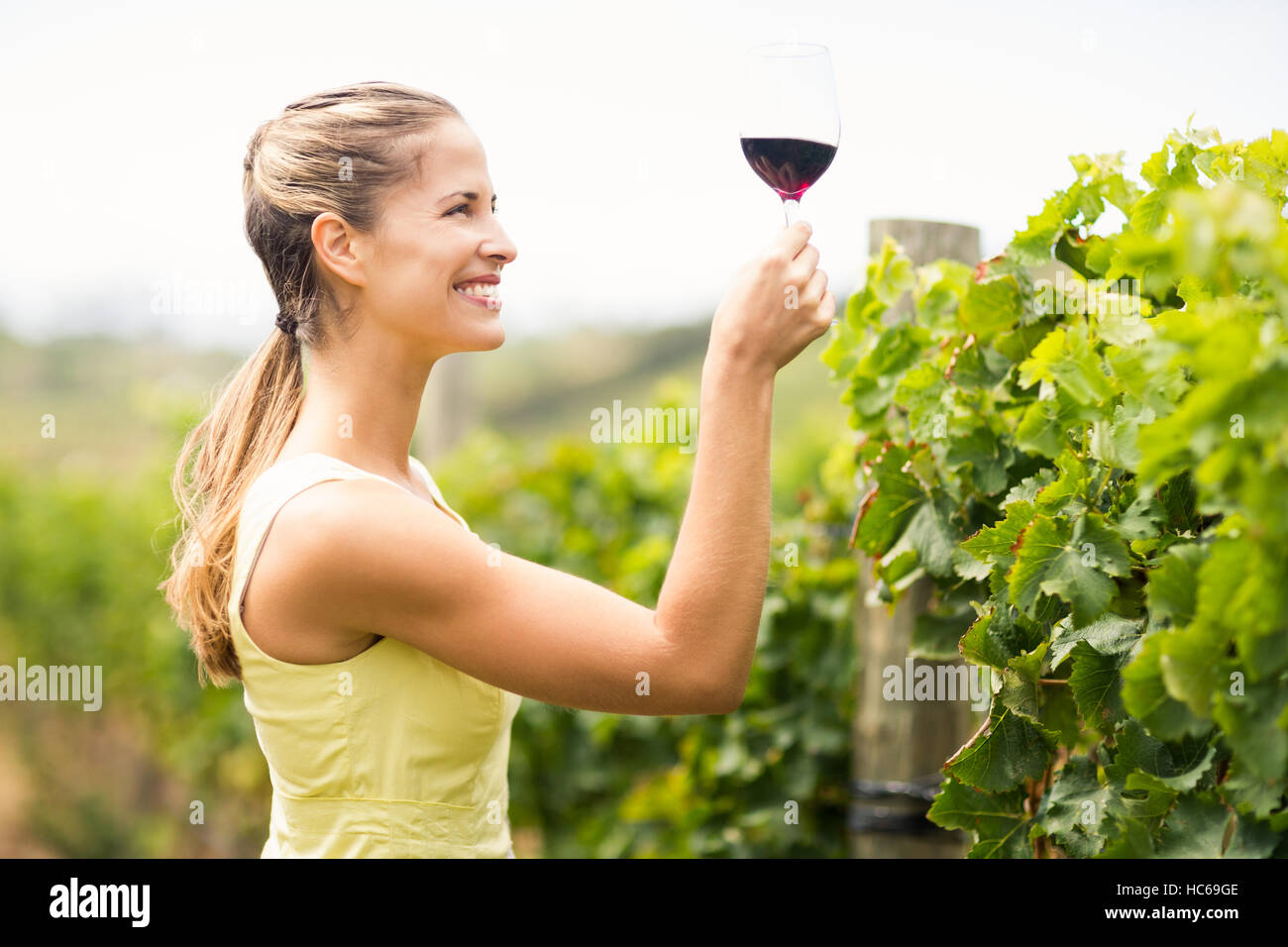 Femmina vignaiolo azienda bicchiere da vino Foto Stock