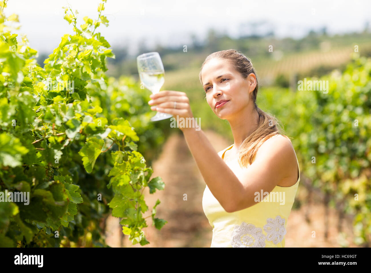Femmina vignaiolo azienda bicchiere da vino Foto Stock