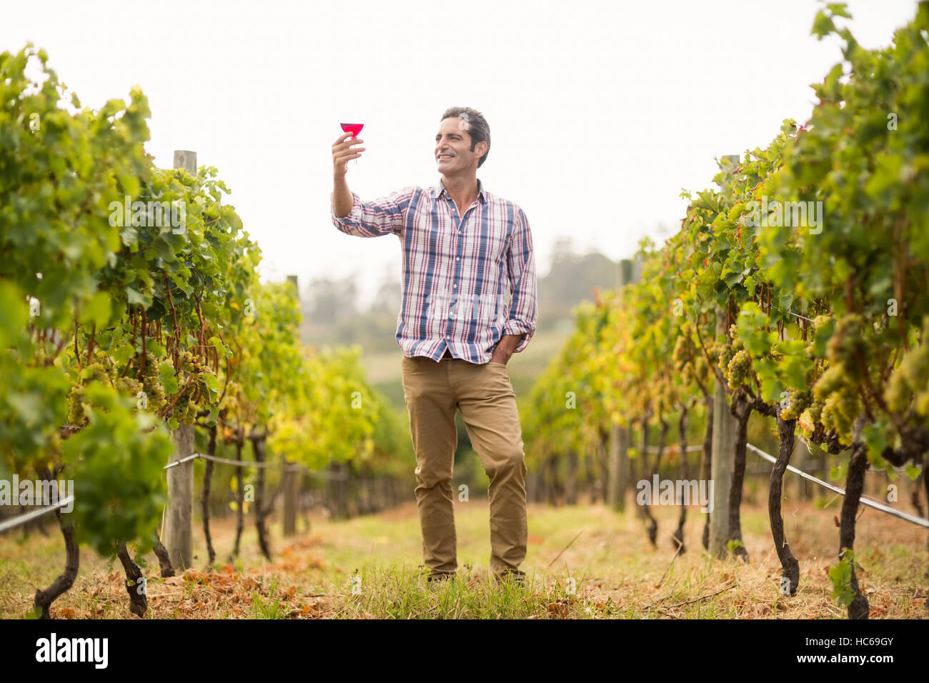 Maschio sorridente vignaiolo guardando il bicchiere di vino Foto Stock