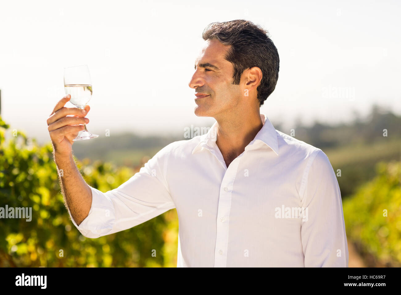 Maschio sorridente vignaiolo guardando un bicchiere di vino Foto Stock