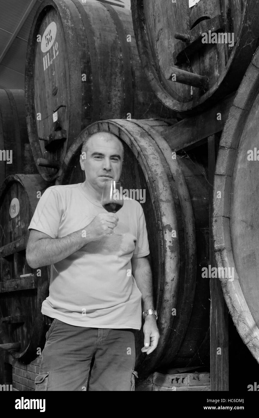 Uomo con un bicchiere di Vernaccia vigna, cantina Contini, Cabras, Sinis, Sardegna, Italia Foto Stock