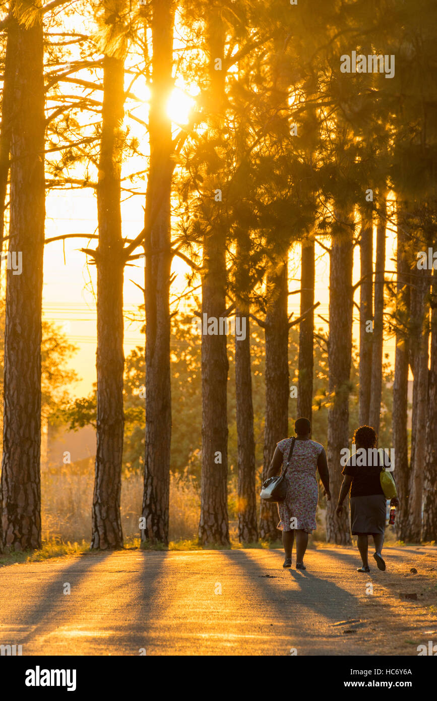 Golden sunset in Africa la gente camminare alberi oro Foto Stock