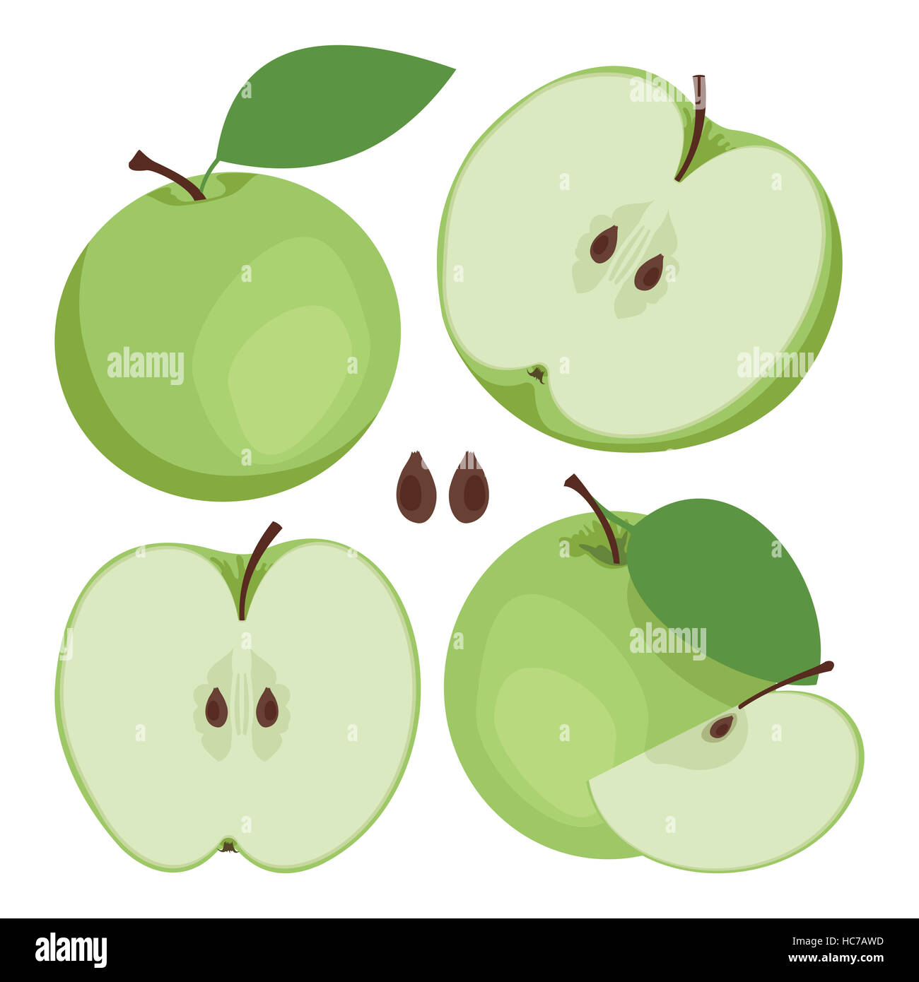 Mela Verde. Raccolta di tutto e fette di mela verde frutti. Illustrazione Vettoriale. Foto Stock