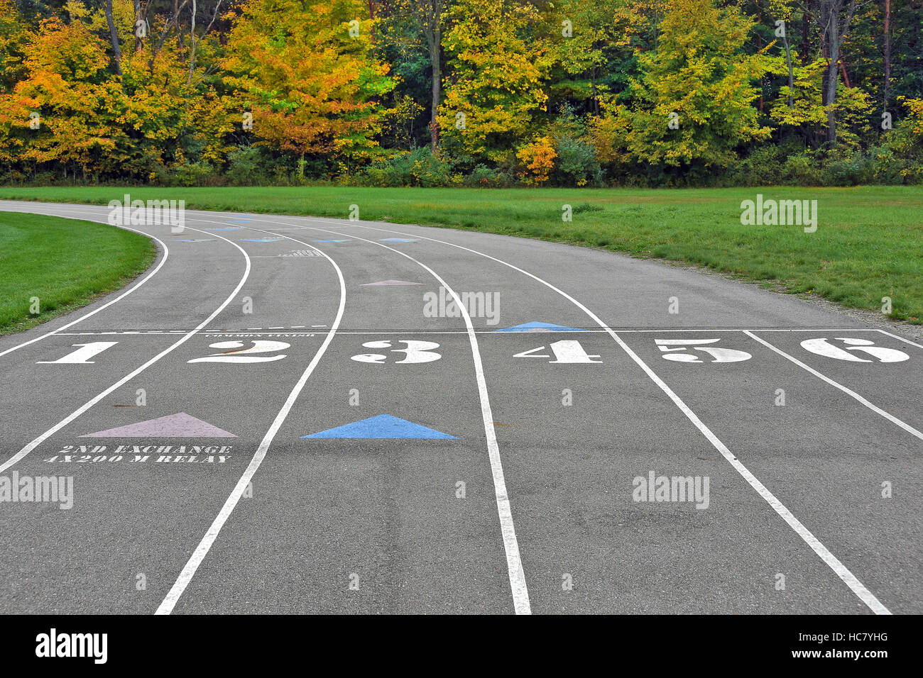 Sport atletica pista e sul campo con i numeri in autunno boschi Foto Stock