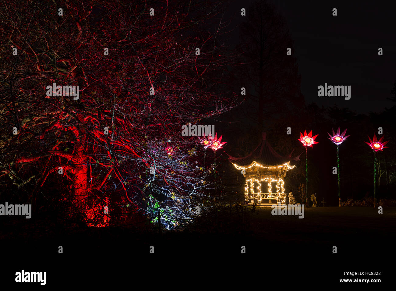 La pagoda di natale e le luci ad albero a RHS Wisley Gardens, Surrey, Inghilterra. Natale Glow Festival 2016 Foto Stock