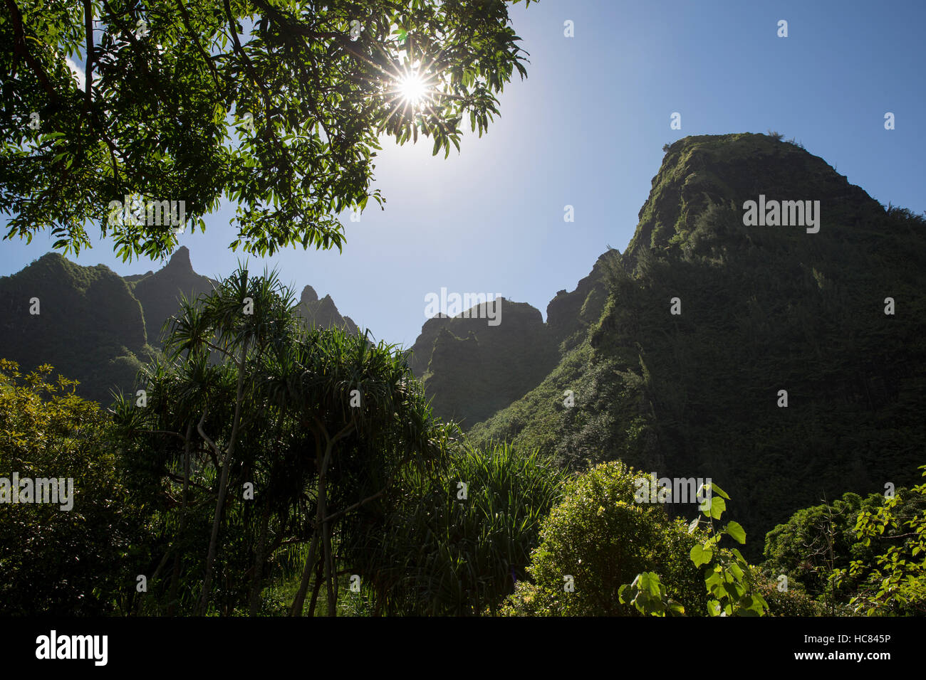 Hawaiian montagna scena da giardino Foto Stock