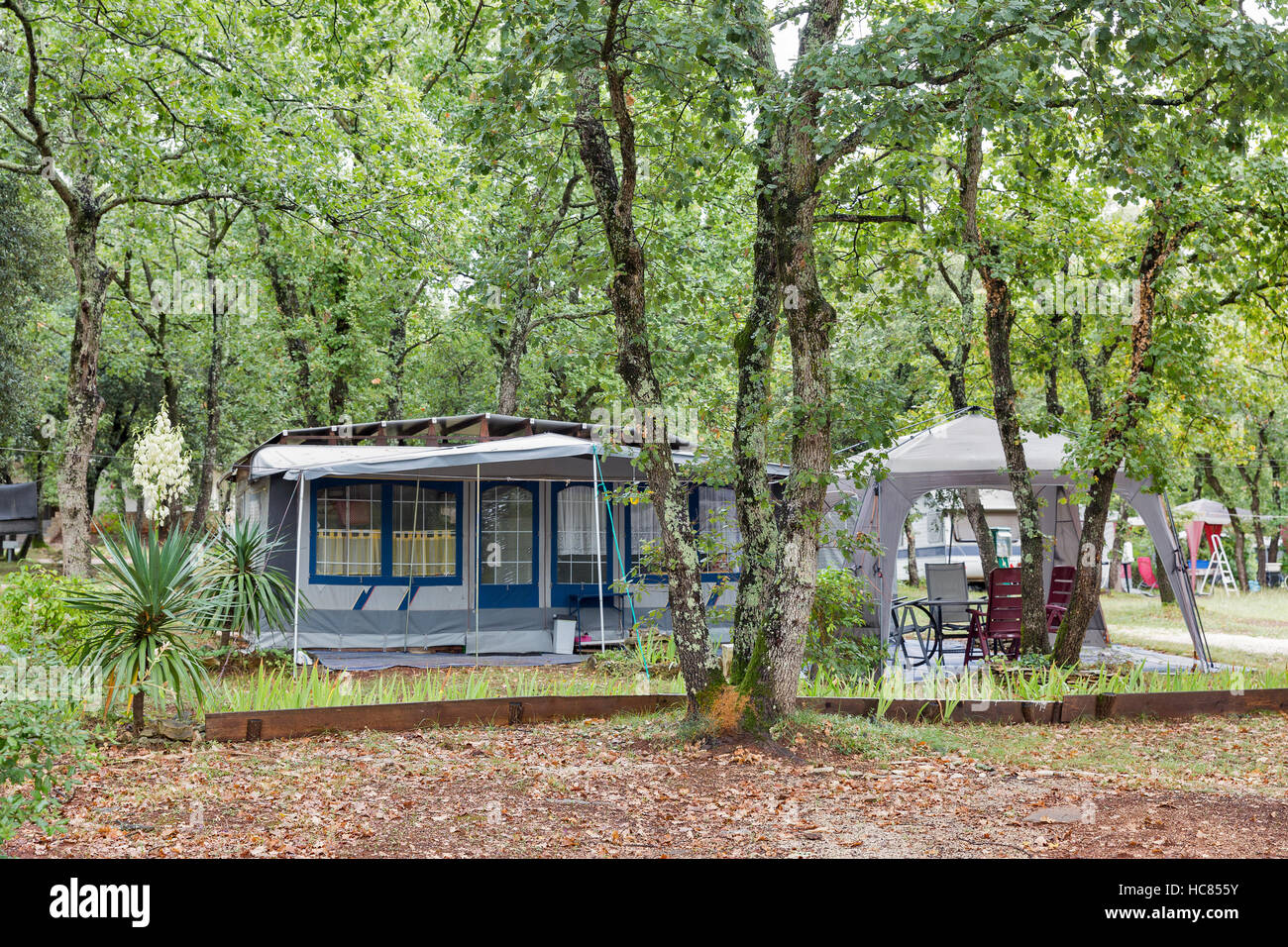 Vita di campeggio con rimorchi in Istria natura park, Croazia Foto Stock