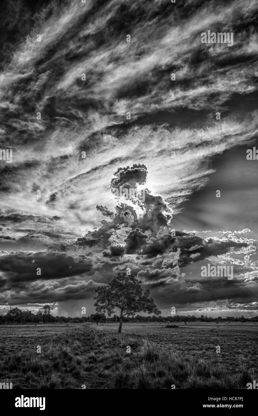 Paesaggio africano pioggia nuvole tempesta meteo nuvoloso Foto Stock