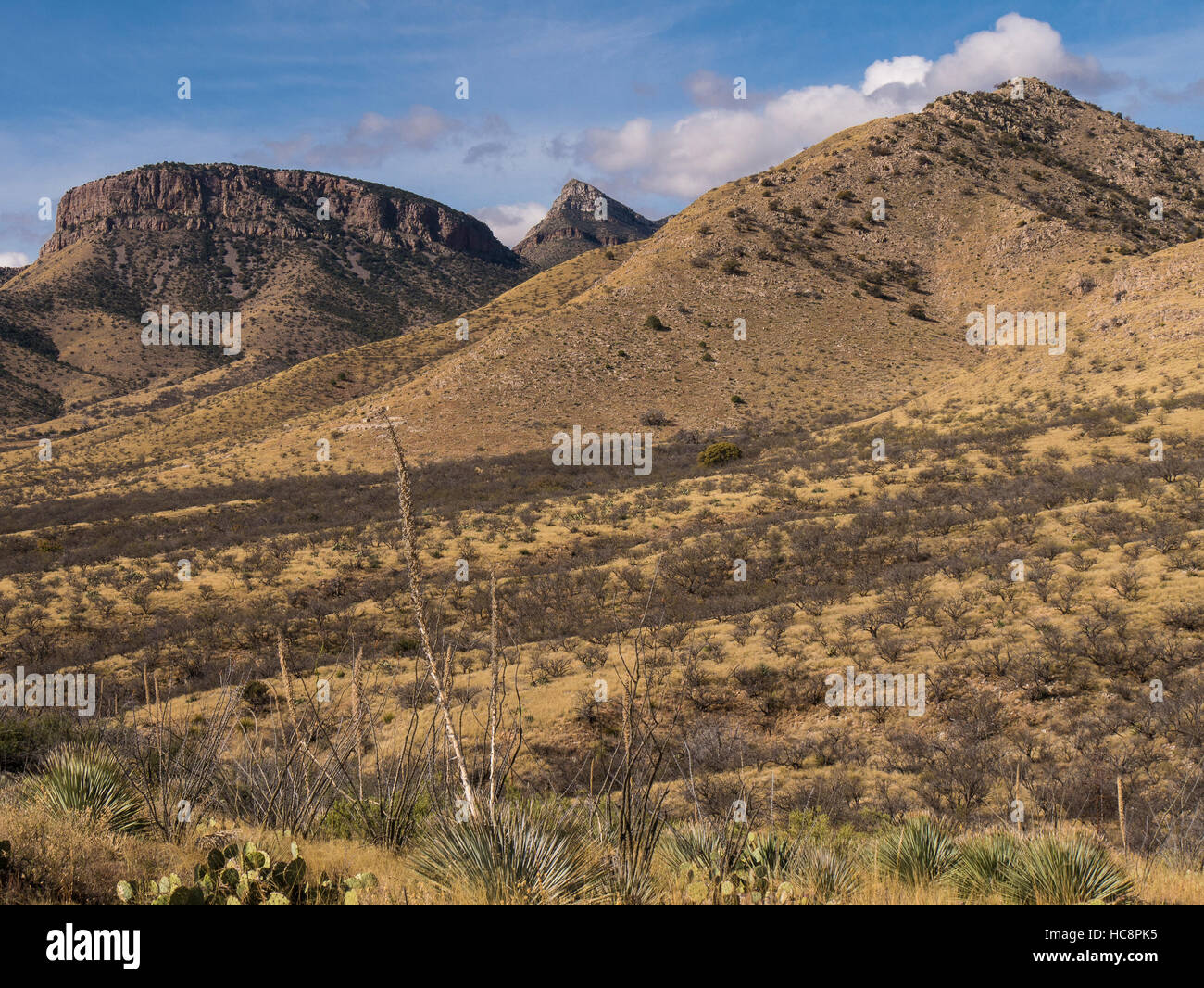 Prealpi Trail, Kartchner Caverns State Park, Benson, Arizona. Foto Stock