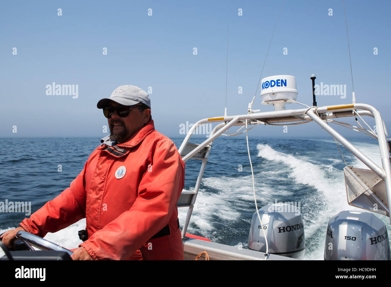 Il capitano di una crociera avvistamento balene su un Zodiac off Nova Scotia, Canada. La zona è conosciuta per il whale watching. Foto Stock