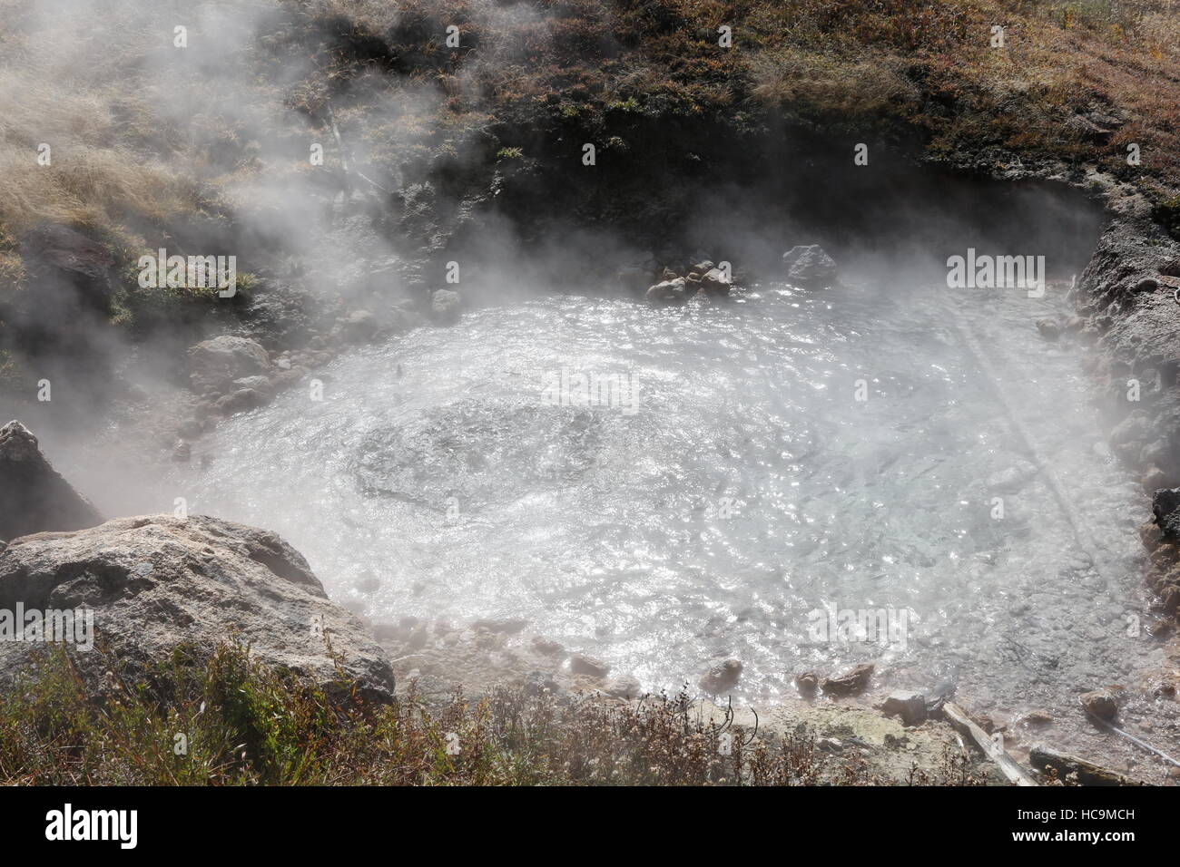 Artista Paint Pots area geotermale, il Parco Nazionale di Yellowstone, WY Foto Stock