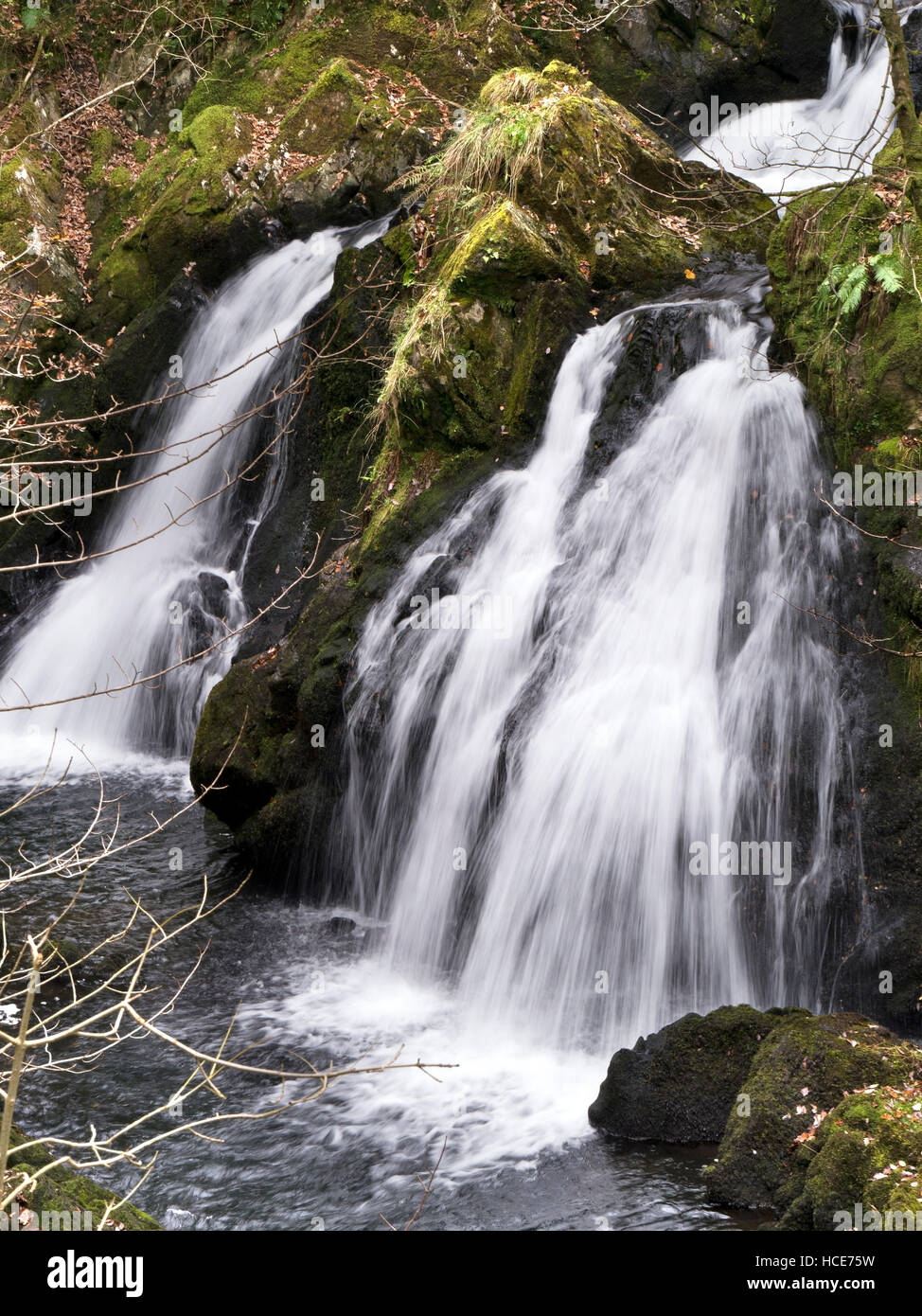 Forza Colwith cascata, poco Langdale, Lake District inglese, Cumbria, Inghilterra, Regno Unito. Foto Stock