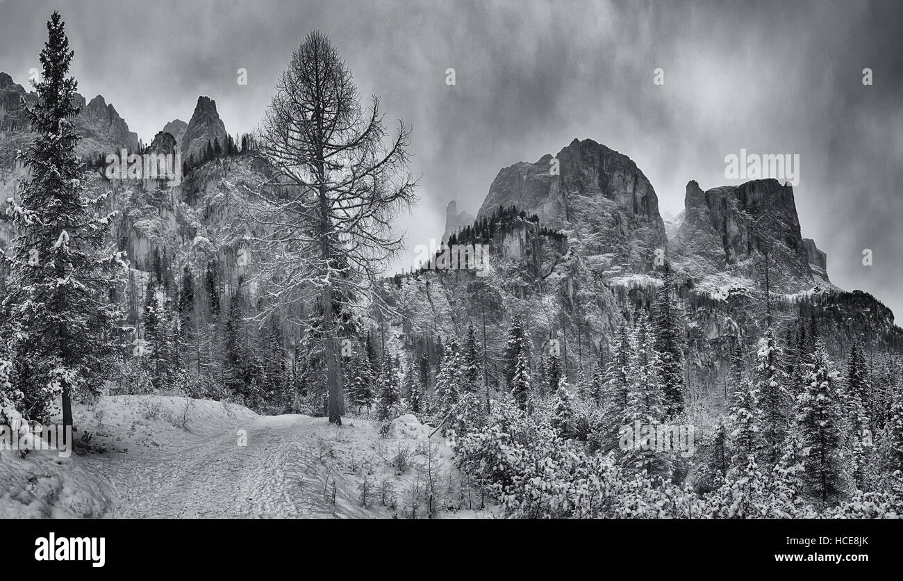 Sentiero di montagna attraverso la foresta con il picco del Gruppo Sella in background, Alta Badia - Dolomiti Foto Stock