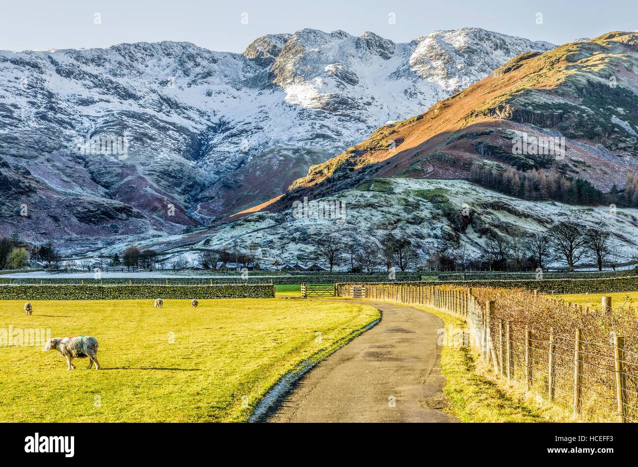 Crinkle Crags a Langdale Foto Stock
