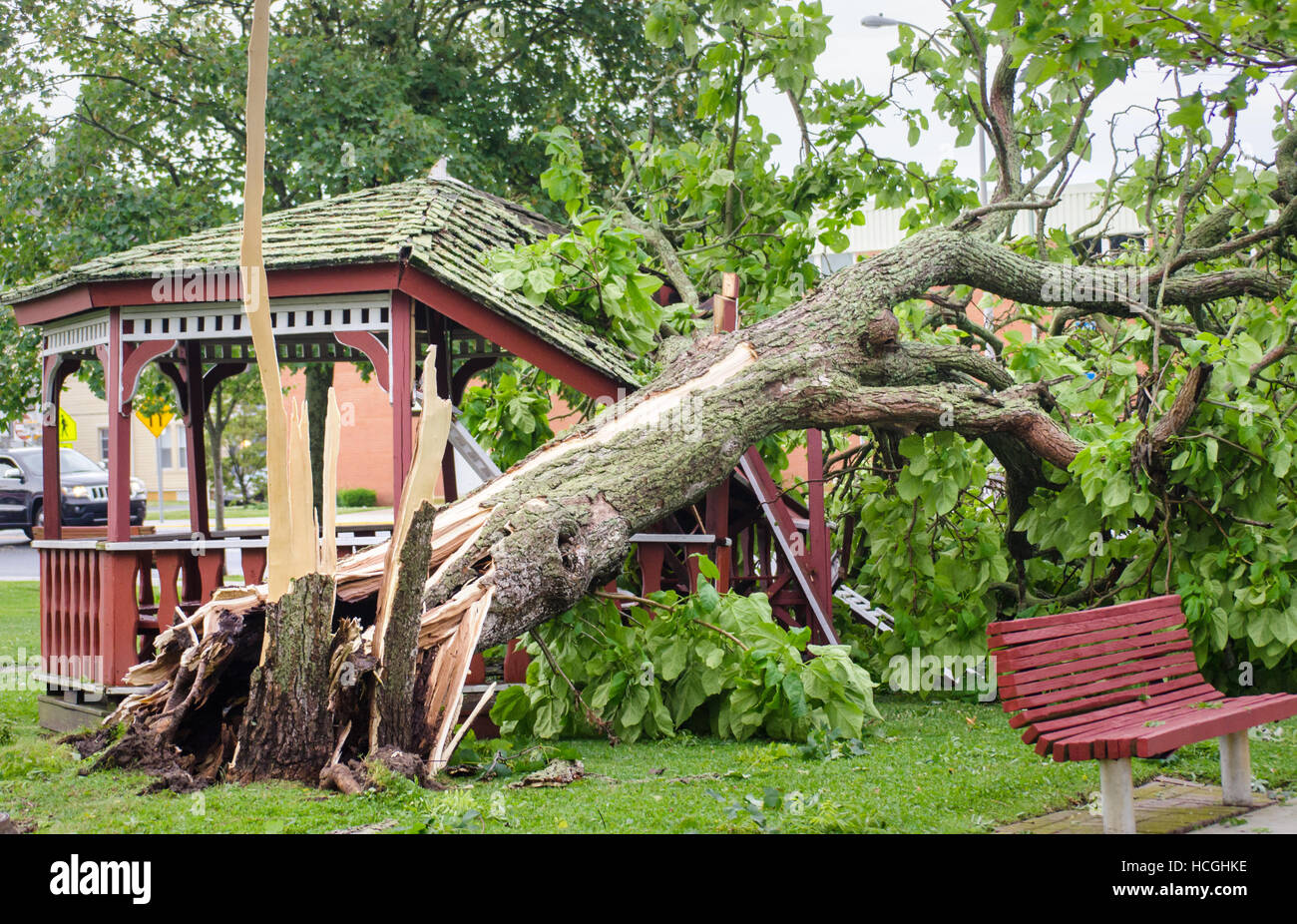 Il tornado ha portato un albero verso il basso su un gazebo Foto Stock