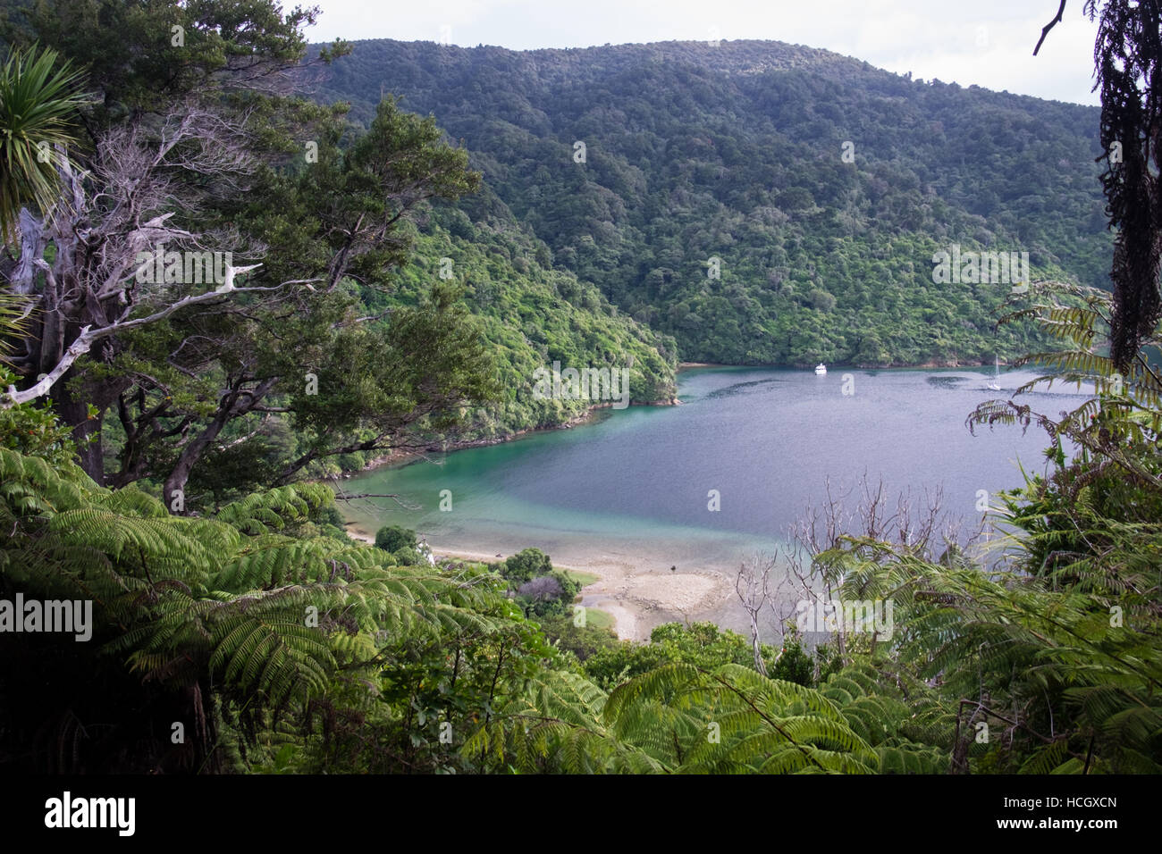 Marlborough Sounds, Nuova Zelanda Foto Stock