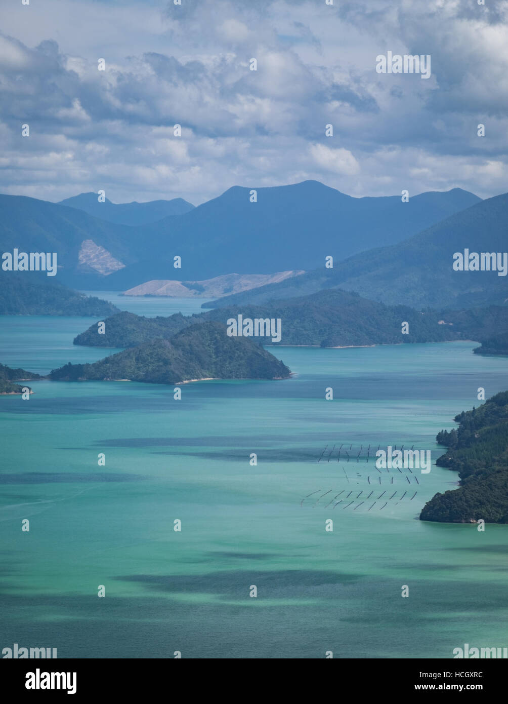 Marlborough Sounds, Nuova Zelanda Foto Stock