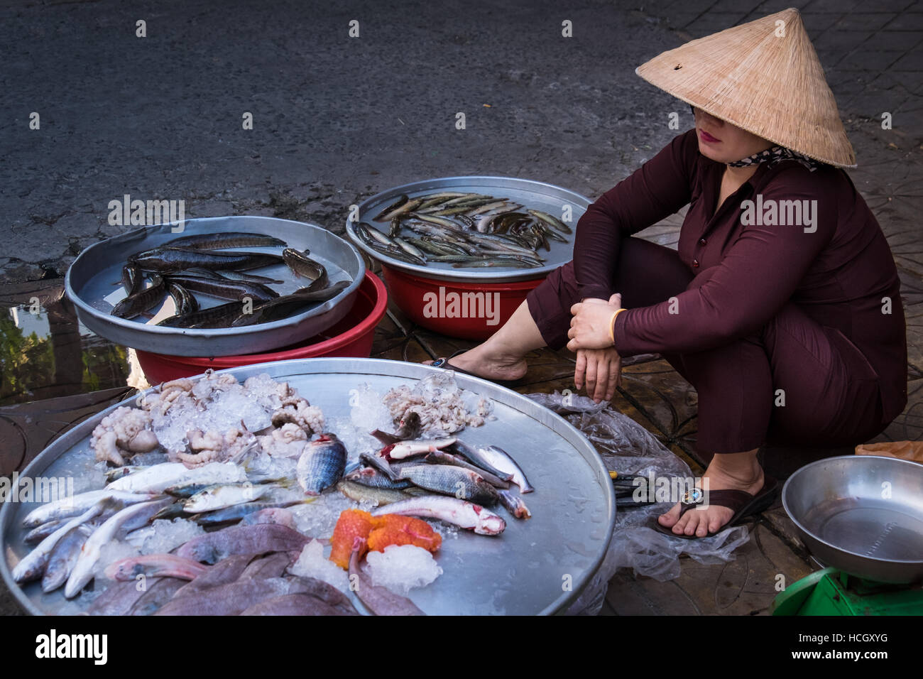 Una donna vendita di pesce fresco per le strade di Can Tho nella regione del Delta del Mekong del Vietnam Foto Stock