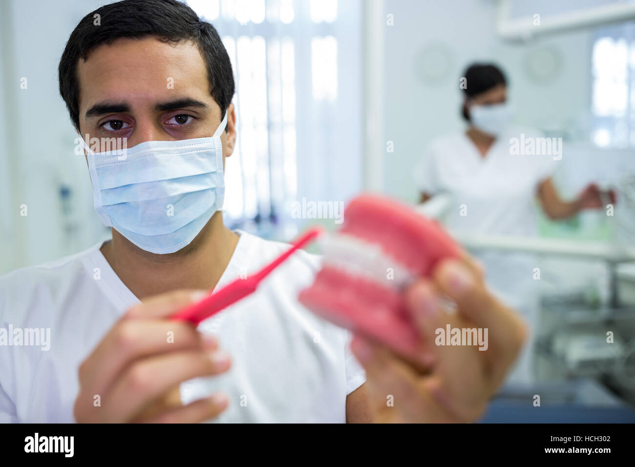 Dentista la pulizia dentale modello ganascia con uno spazzolino da denti Foto Stock