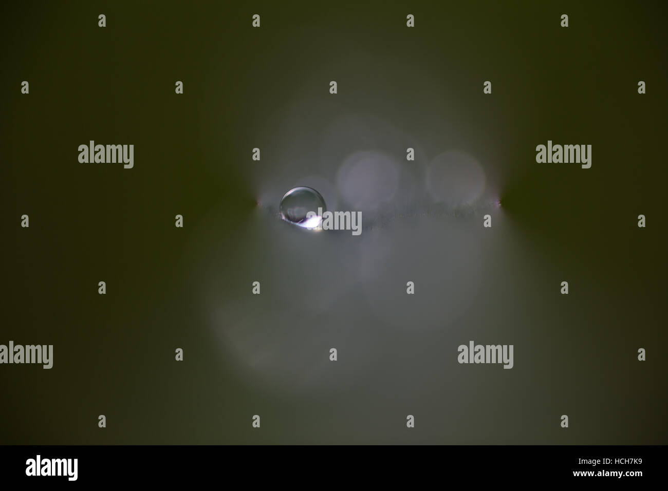 Abstract acqua goccia Nello shallow focus, evidenziato ma in un colore verde più scuro che circonda Foto Stock