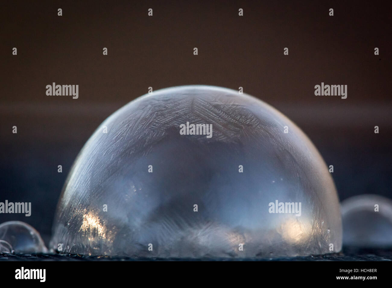 Ghiacciato, congelate, bolla di sapone dome con piccole cupole accanto a esso sulla superficie blu con sfondo marrone Foto Stock