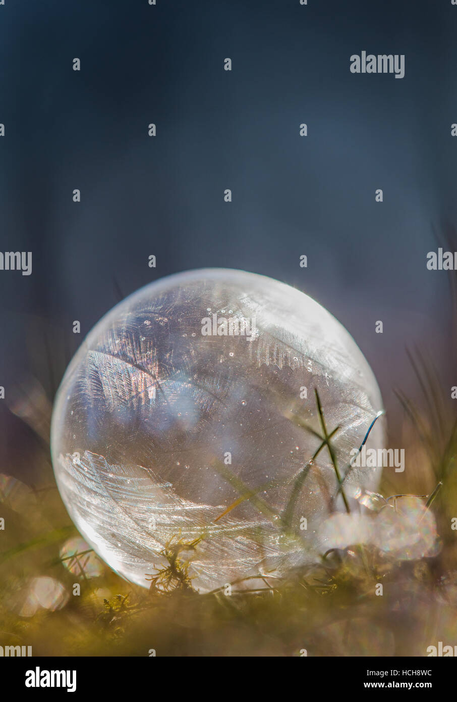 Icy bolla di sapone incandescente nella luce brillante con modelli di ghiaccio su un prato e massa di muschio con bokeh di fondo e uno sfondo blu Foto Stock