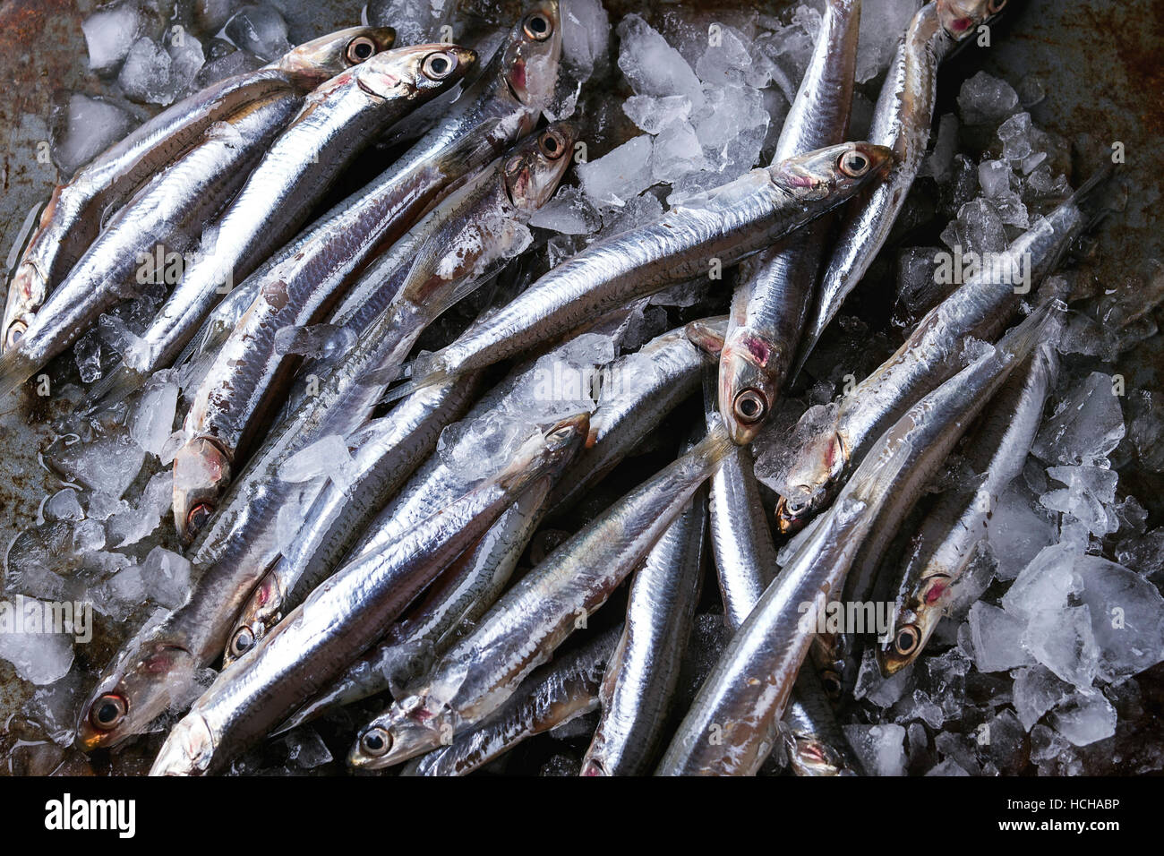 Molte delle materie di alici fresche pesci sul ghiaccio tritato sopra il vecchio metallo scuro dello sfondo. Vista dall'alto. Frutti di mare tema sfondo. Foto Stock