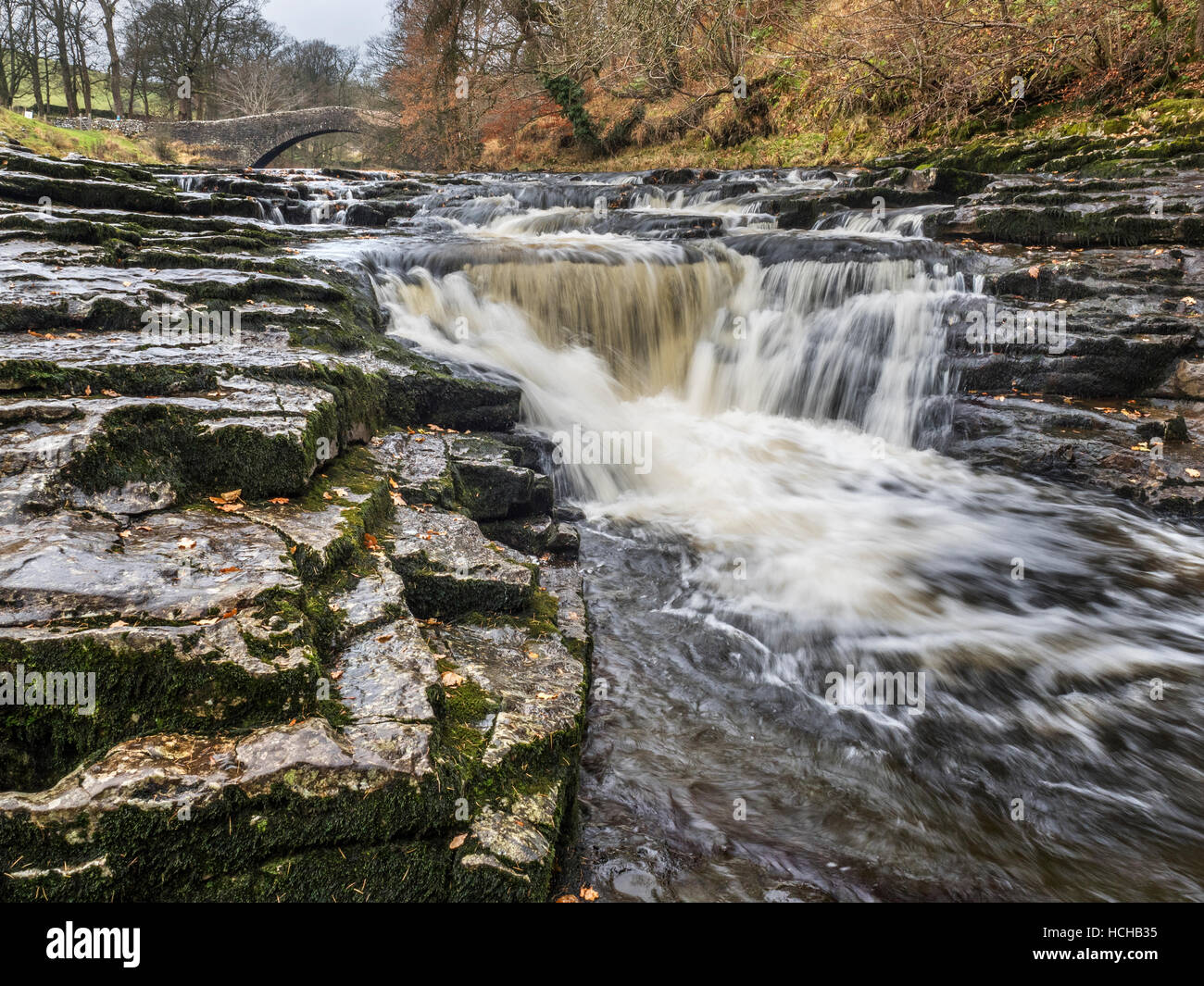 Stainforth forza o Stainforth Foss sul fiume Ribble al di sotto del ponte Packhorse vicino Stainforth Ribblesdale Yorkshire Dales Inghilterra Foto Stock