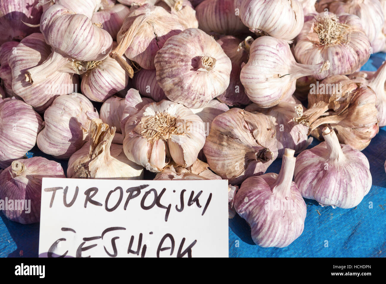Croazia, Zagabria, aglio per la vendita nel mercato Dolac. Foto Stock