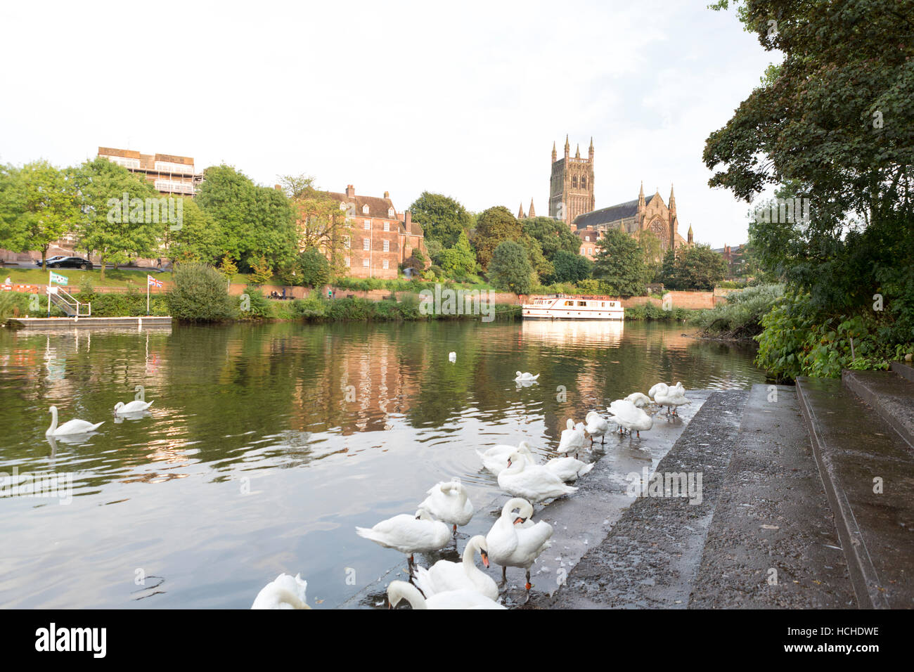 Cattedrale di Worcester e il fiume Severn. Foto Stock