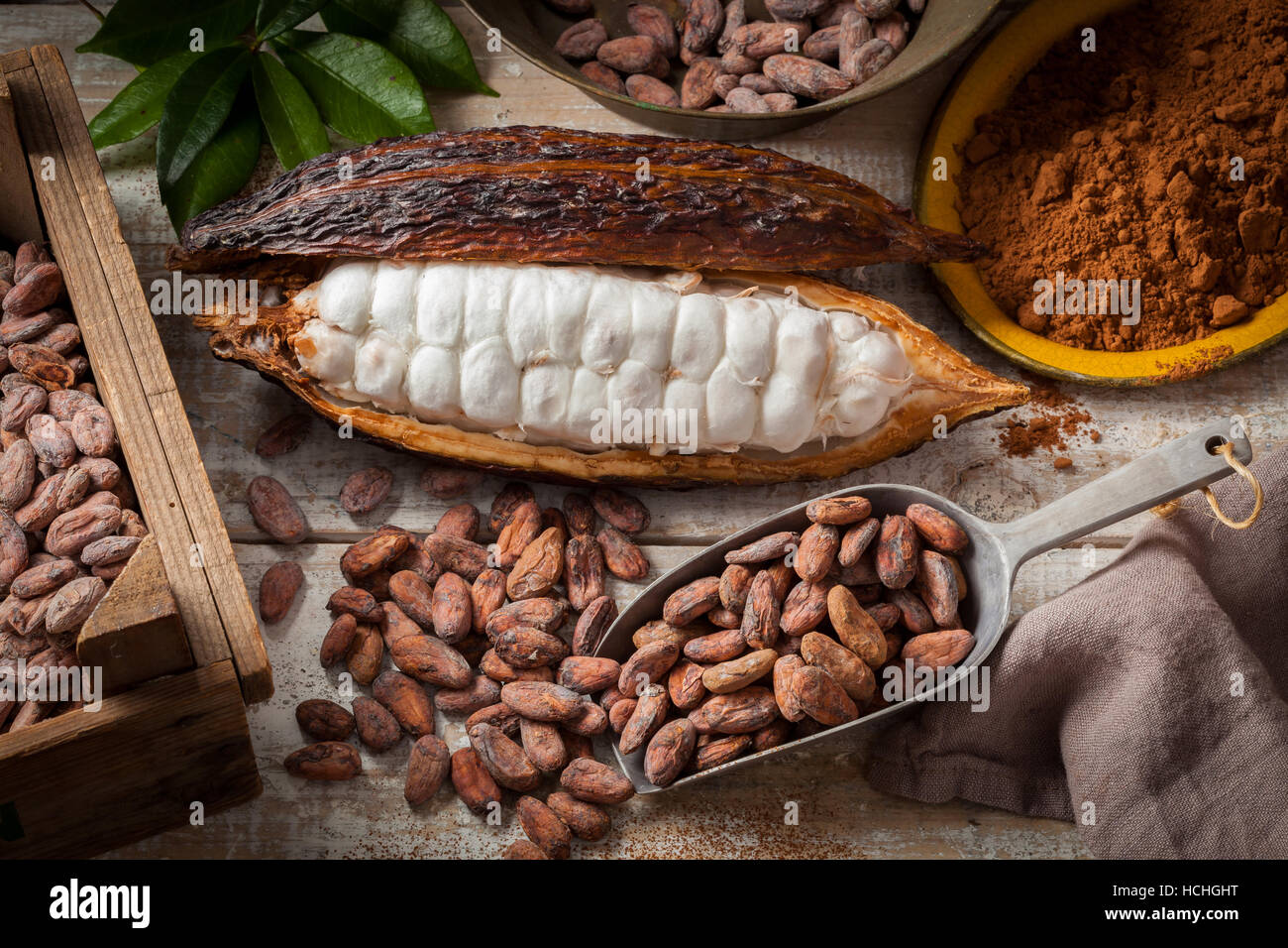 Le fave di cacao e il cacao pod con cacao in polvere su di una superficie di legno. Foto Stock