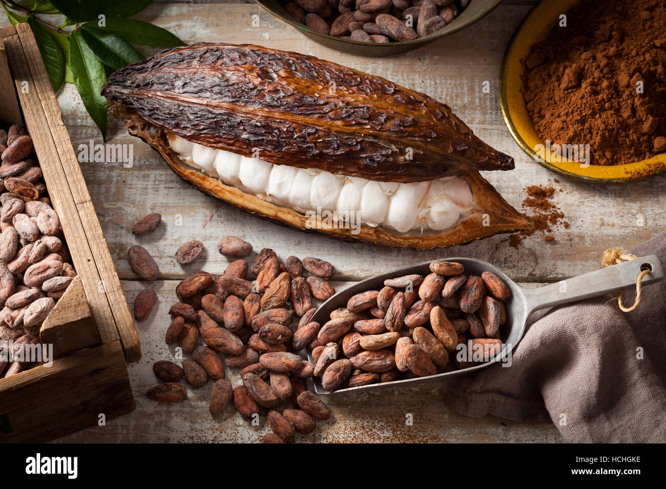 Le fave di cacao e il cacao pod con cacao in polvere su di una superficie di legno. Foto Stock