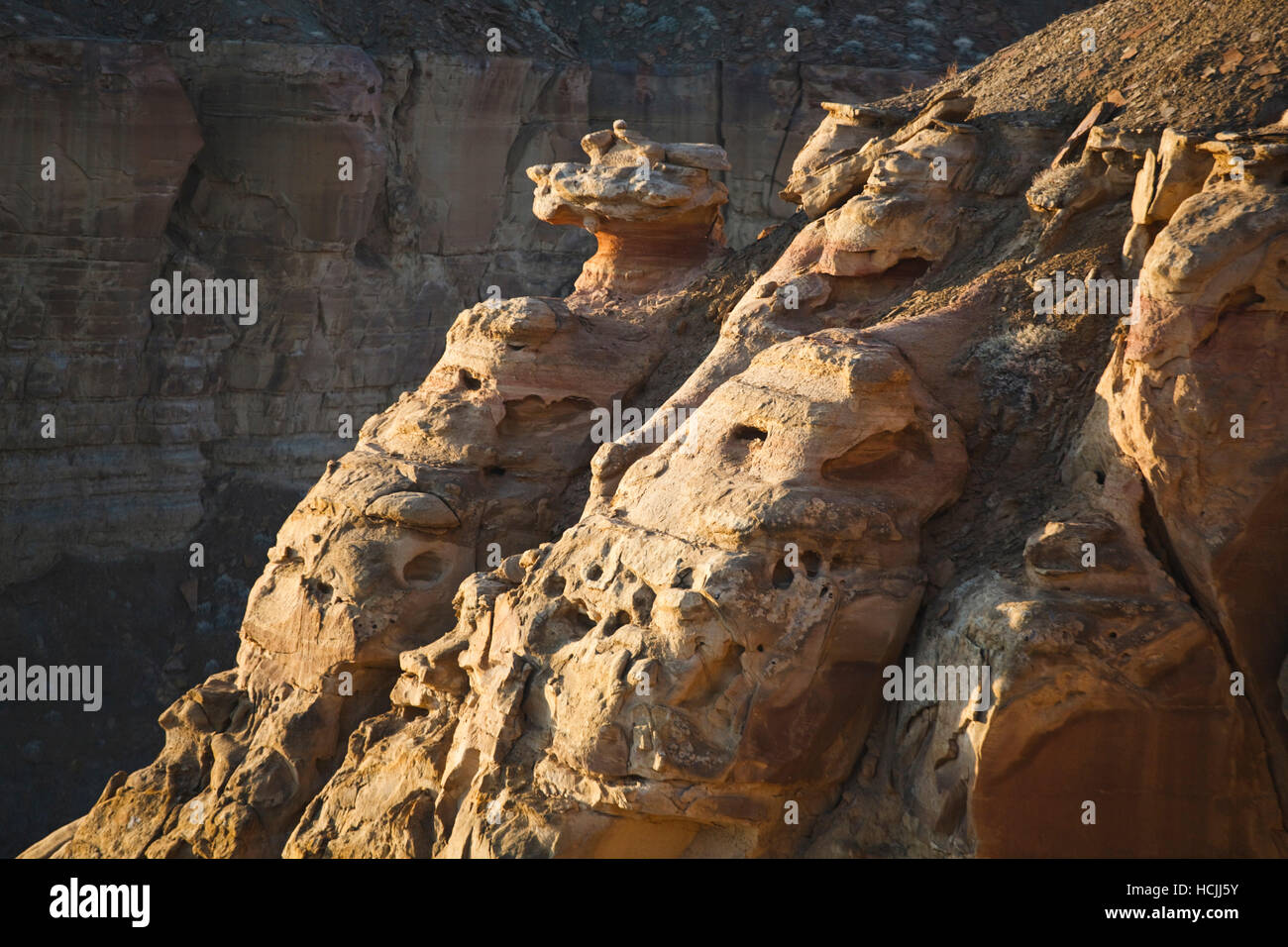 Dettaglio di insolite formazioni rocciose causati da erosione di vento sul bordo di un sistema di canyon vicino a Factory Butte, Utah. Foto Stock