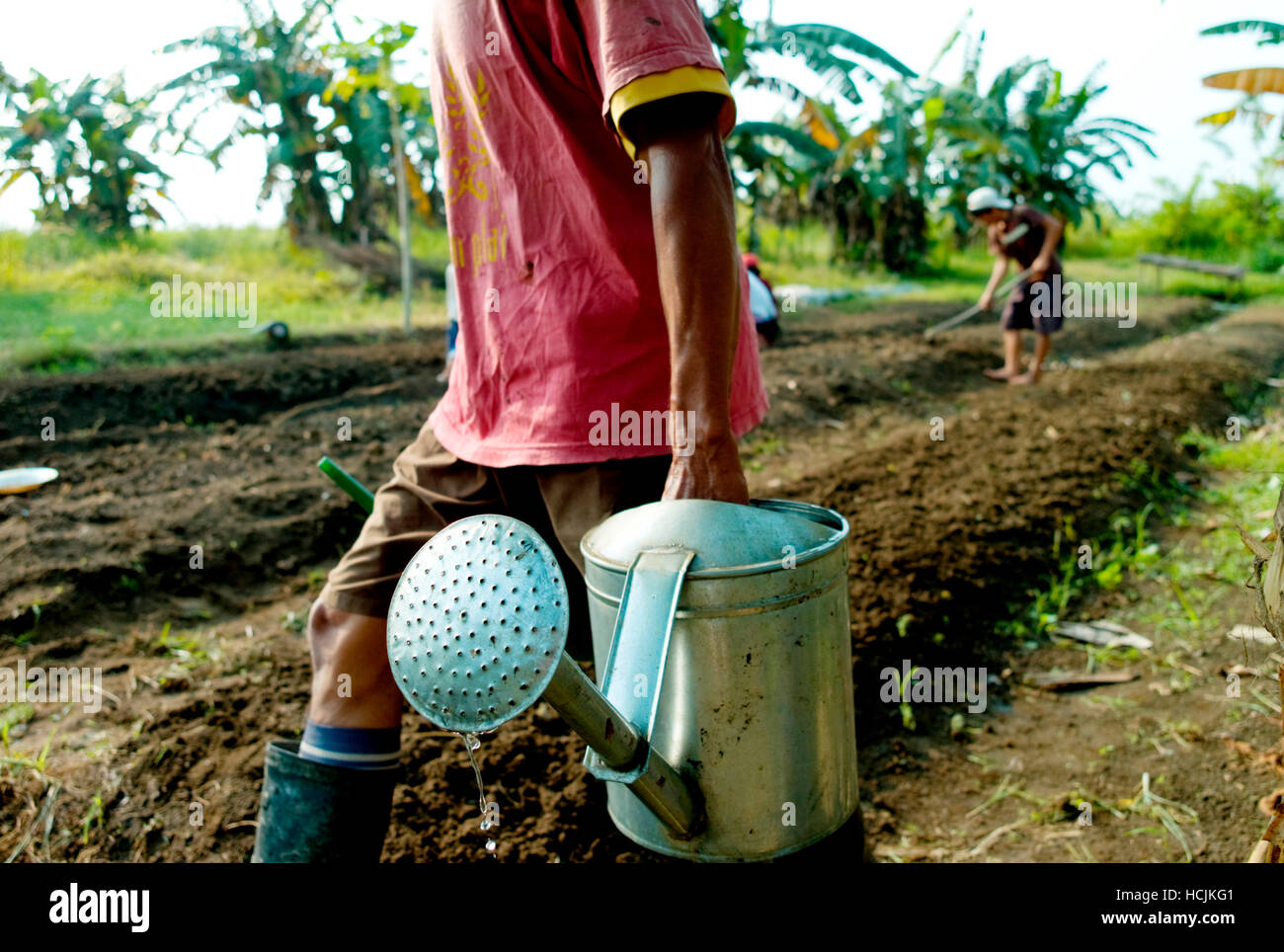 Gli abitanti di un villaggio vicino Nehas Liah Bing, agricoltura un piccolo appezzamento di terra come parte del "fonti alternative di sostentamento programma". Vari progetti in Indonesia dove il International di organizzazione per la conservazione della natura Conservancy è il lavoro con le comunità locali per sostenere programmi di fonti alternative di sostentamento e di pratiche più sostenibili in agricoltura, legname raccolto e pesca--il tutto con una particolare attenzione per l'adeguamento e la prevenzione dei cambiamenti climatici. Foto Stock