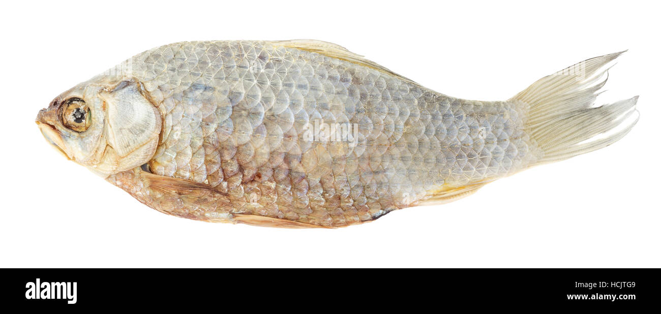 Pesci secchi di carassi isolati su sfondo bianco, il file contiene un percorso di clipping. Foto Stock