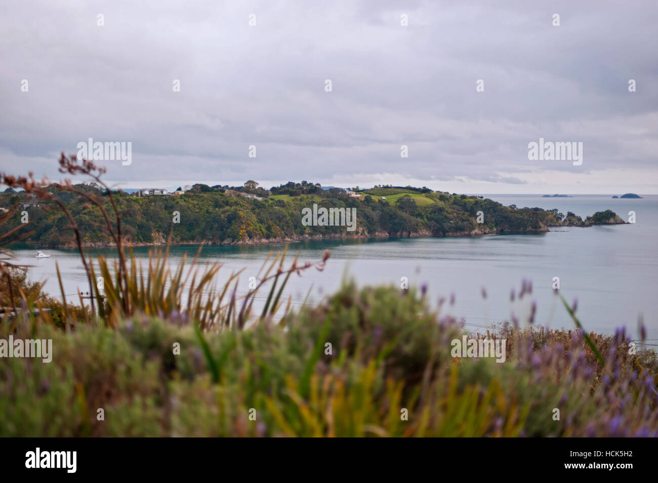 Isola di Waiheke, Nuova Zelanda Foto Stock
